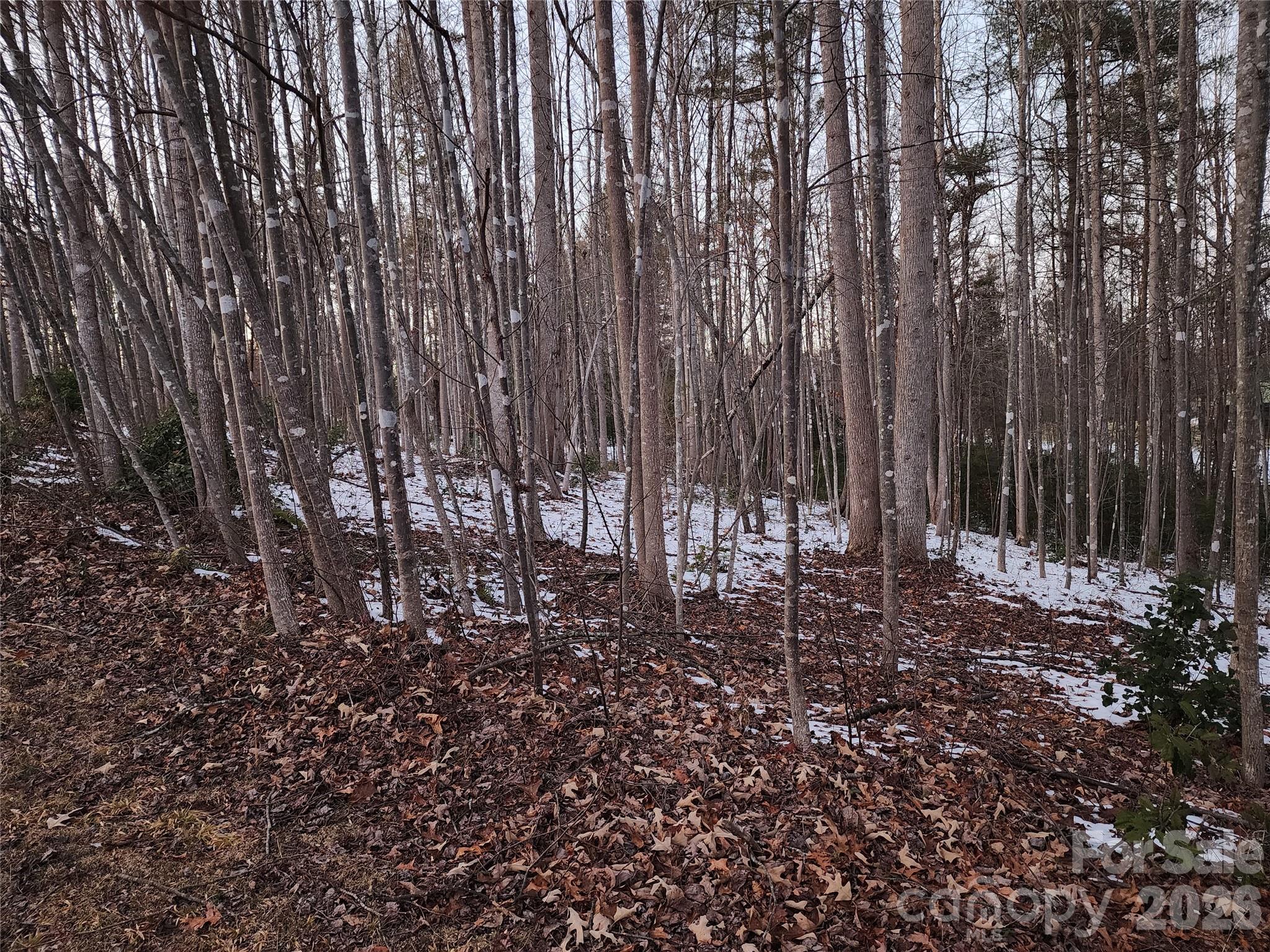 Tbd W Meadow Parkway Property Photo 19