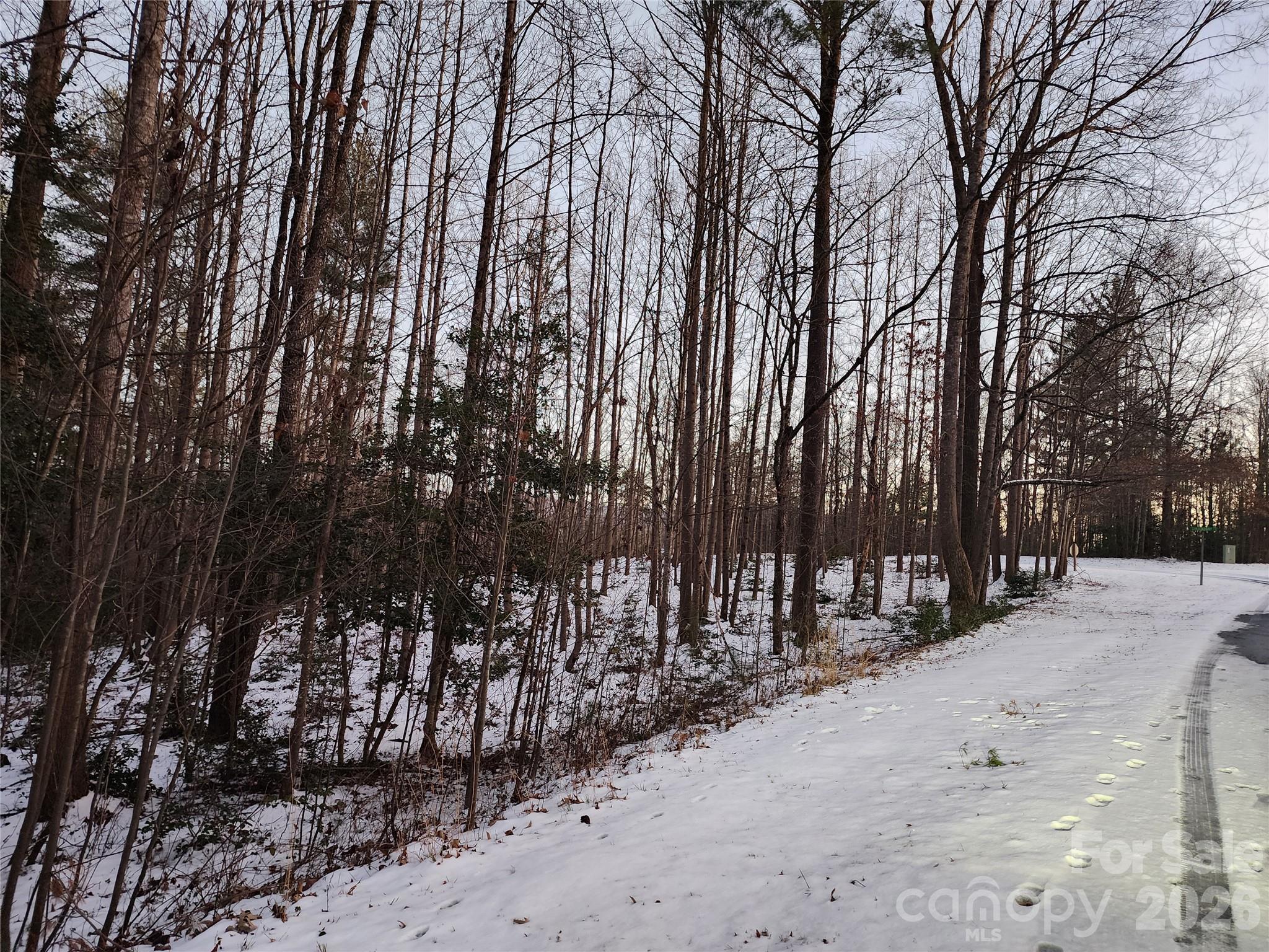 Tbd W Meadow Parkway Property Photo 20