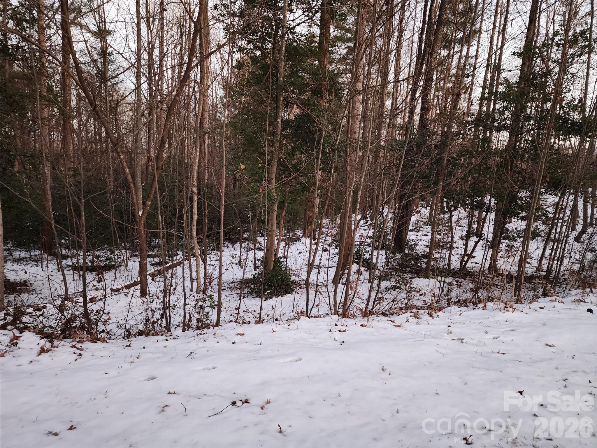 Tbd W Meadow Parkway Property Photo 21