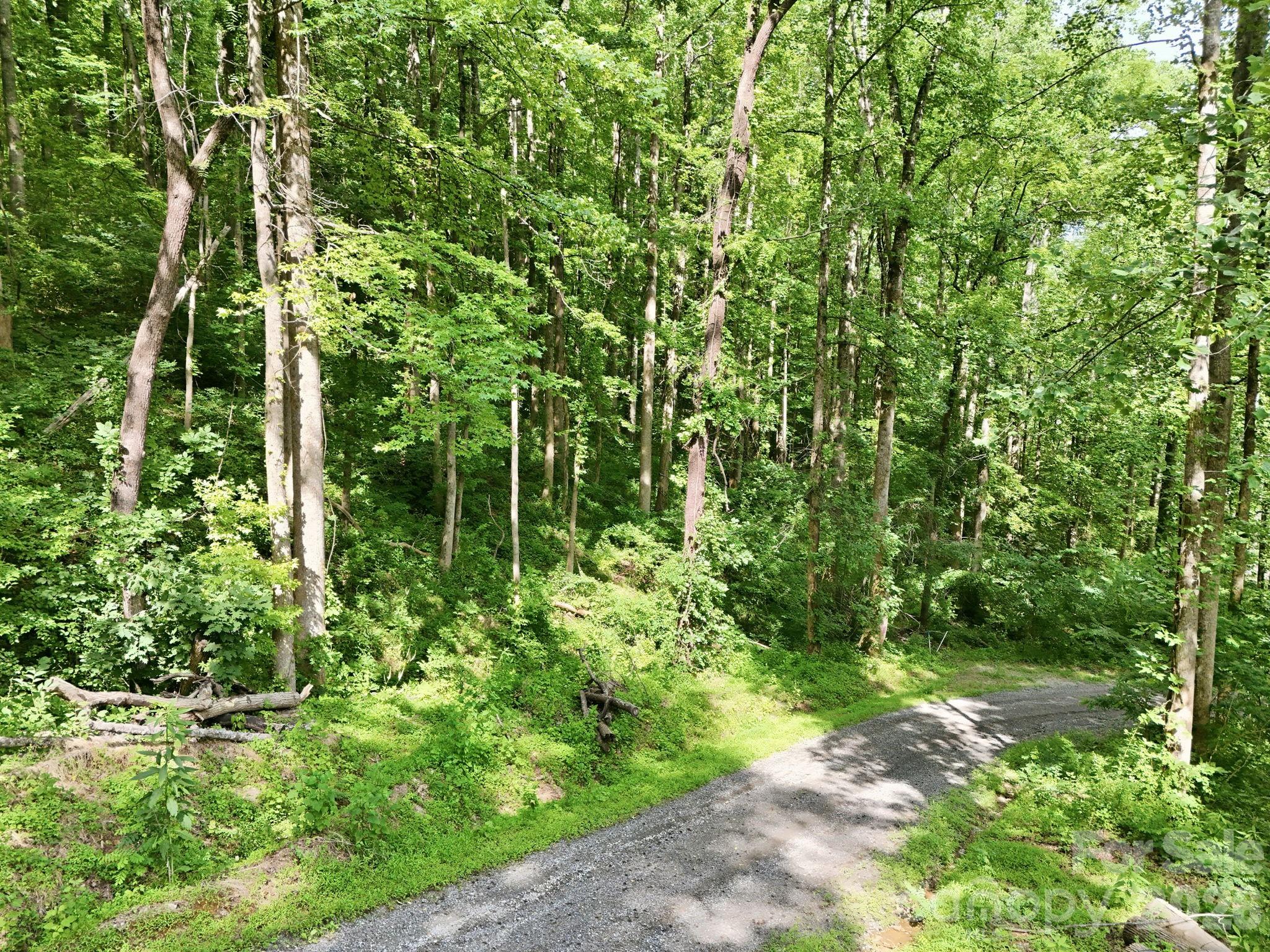 0000 Rocky Branch Trail Property Photo 4