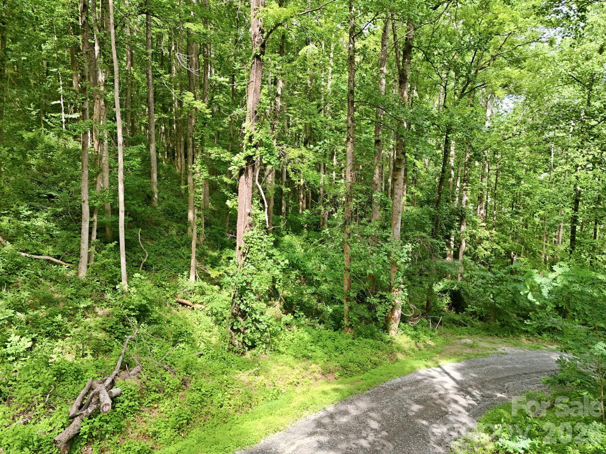 0000 Rocky Branch Trail Property Photo 13