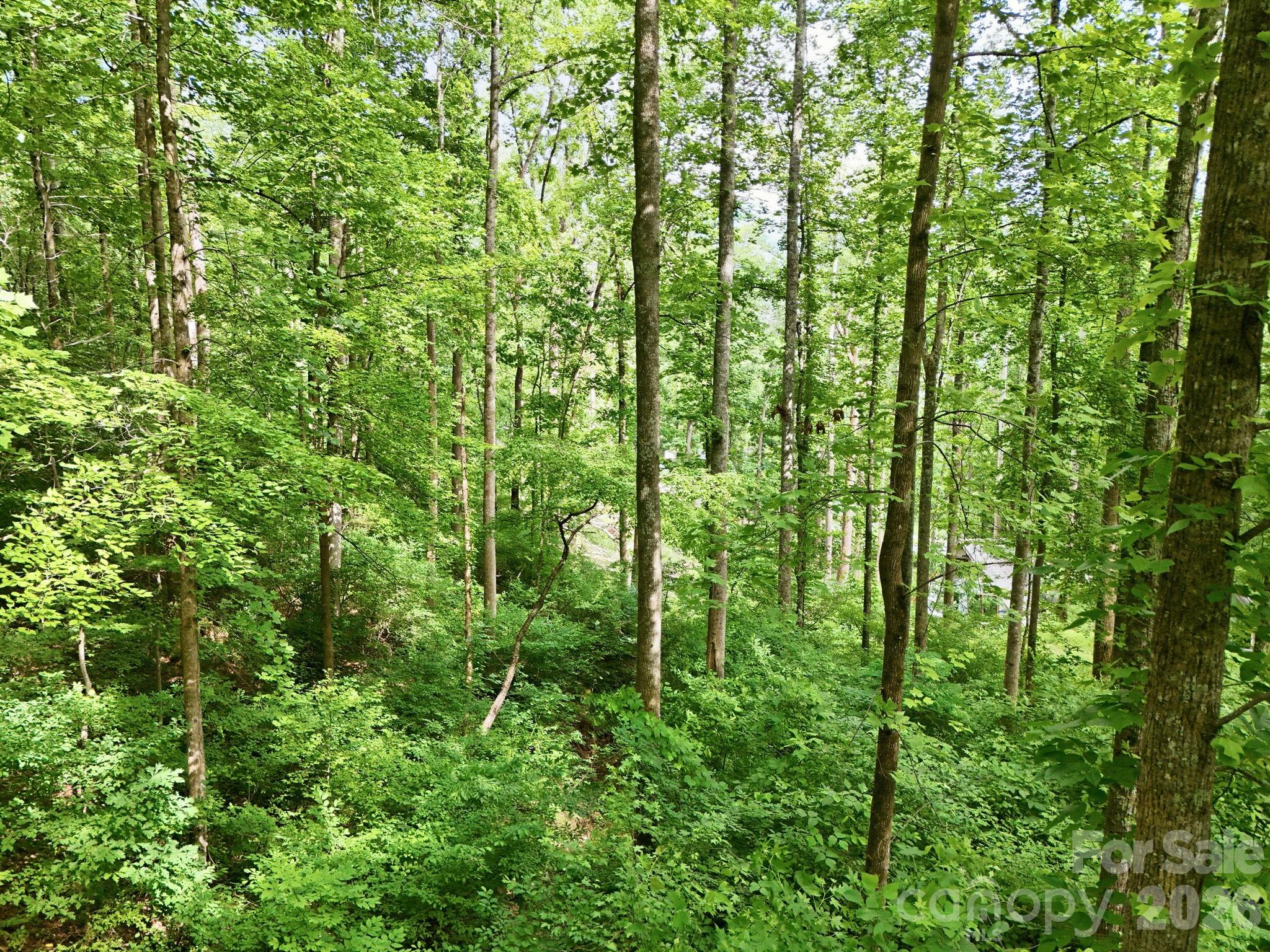 0000 Rocky Branch Trail Property Photo 14
