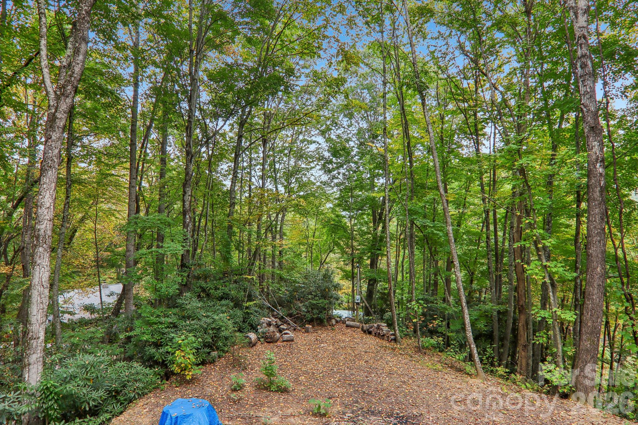 5 Marion Drive Property Photo 22
