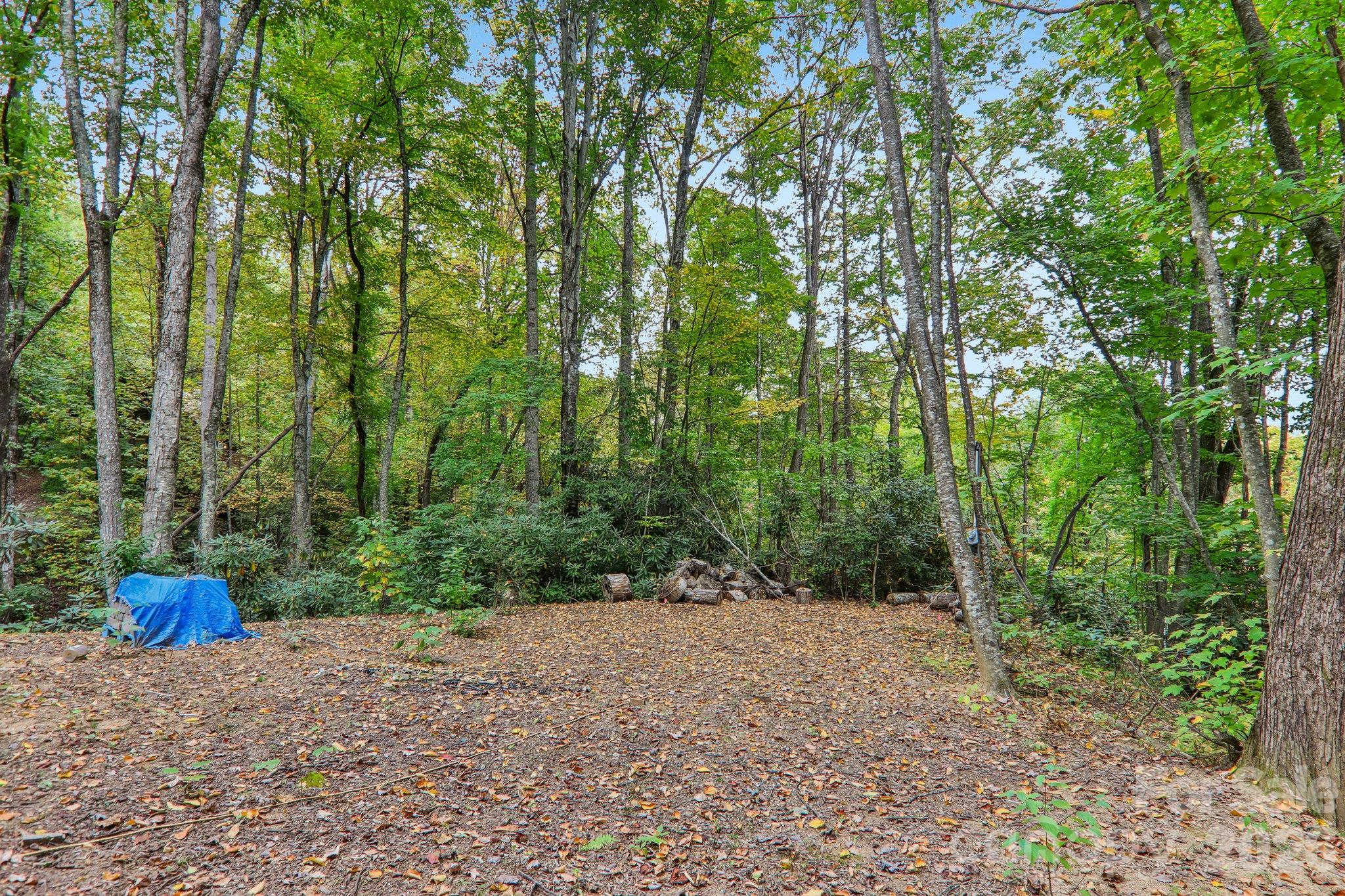 5 Marion Drive Property Photo 26