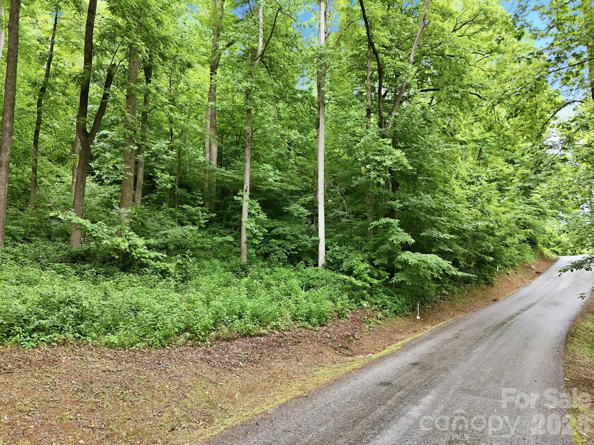 9999 Blue Ridge Drive Property Photo 4