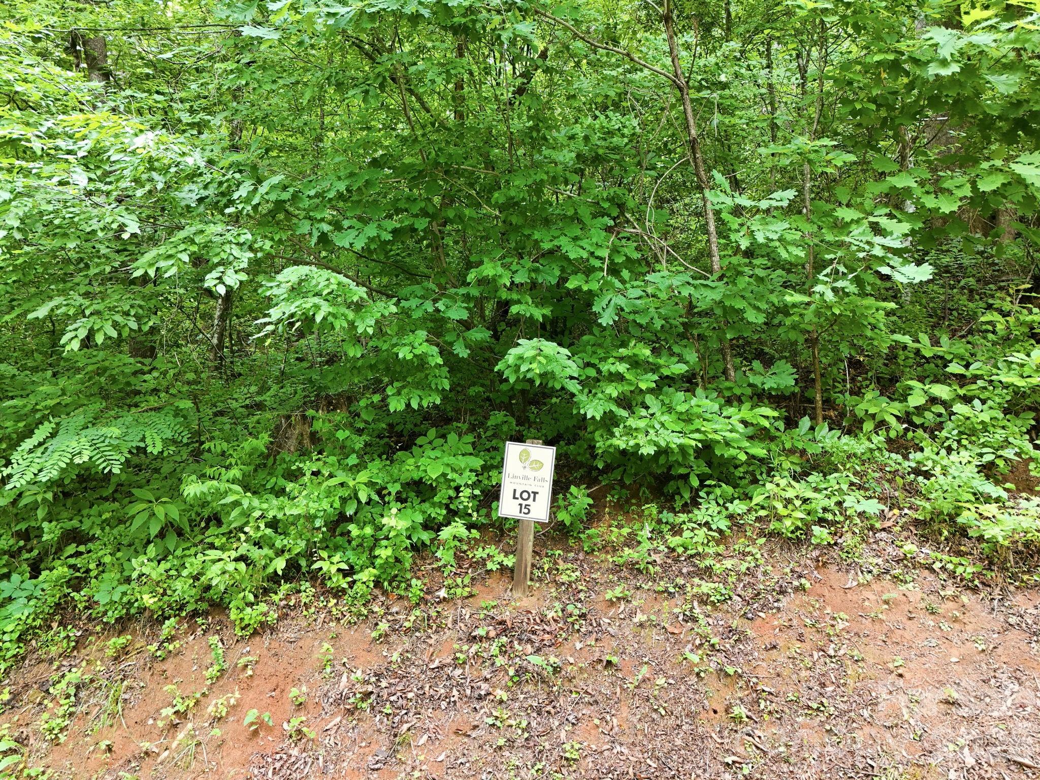 9999 Blue Ridge Drive Property Photo 5