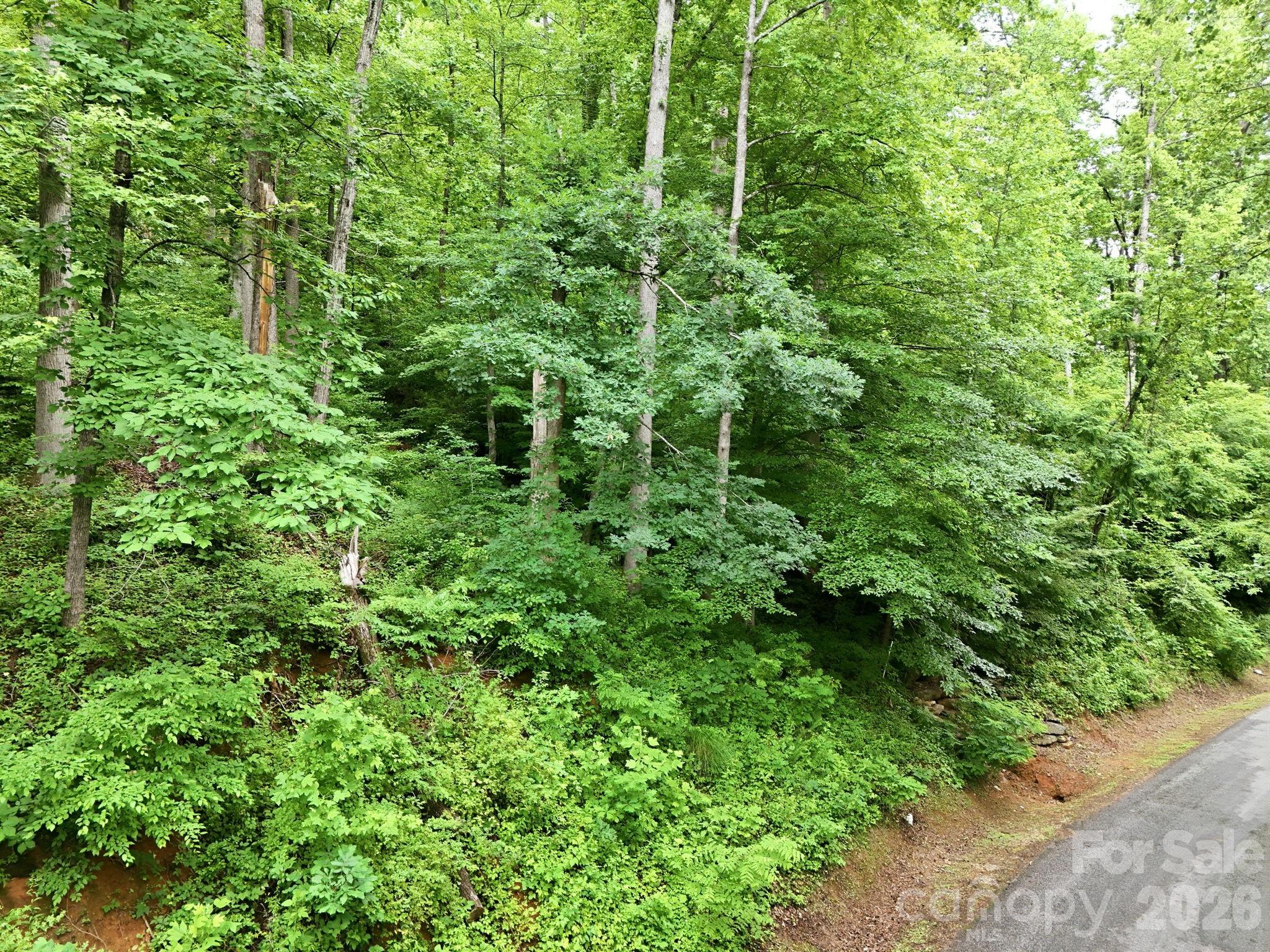 9999 Blue Ridge Drive Property Photo 7