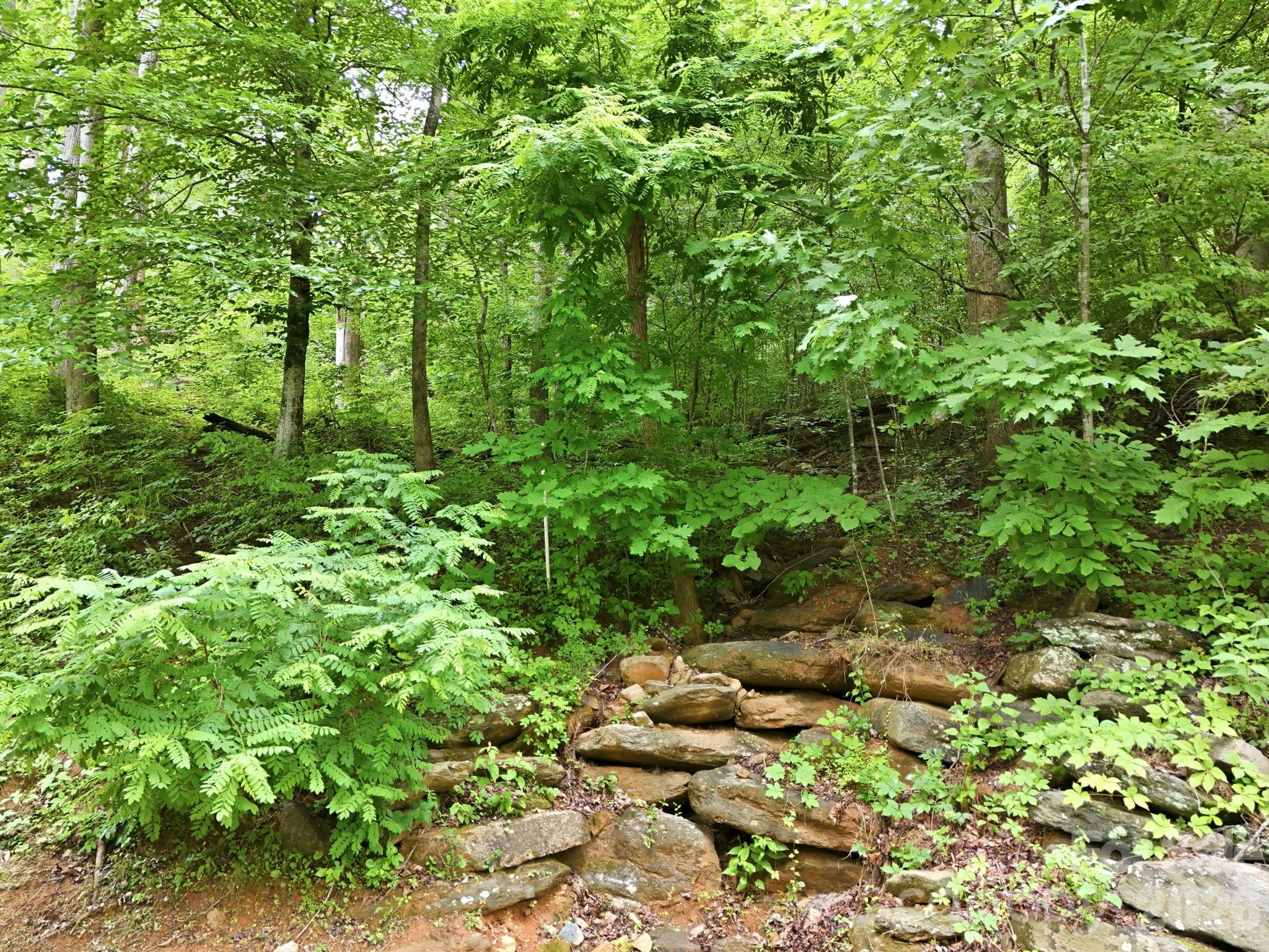 9999 Blue Ridge Drive Property Photo 8