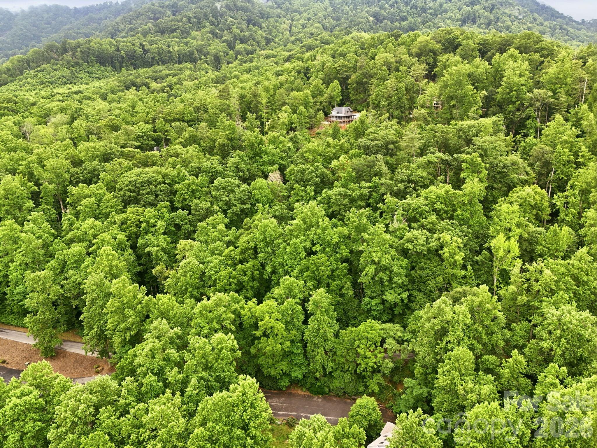 9999 Blue Ridge Drive Property Photo 9