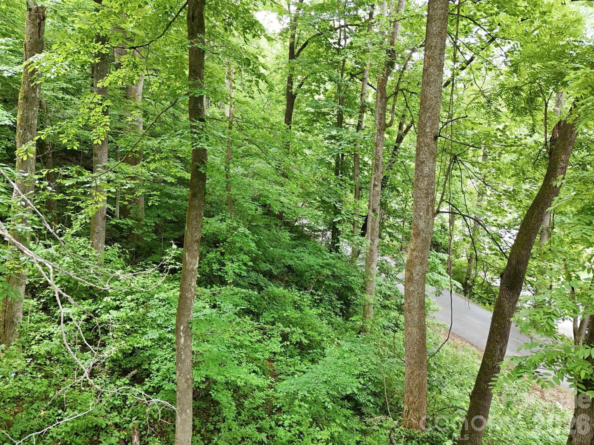 9999 Blue Ridge Drive Property Photo 17