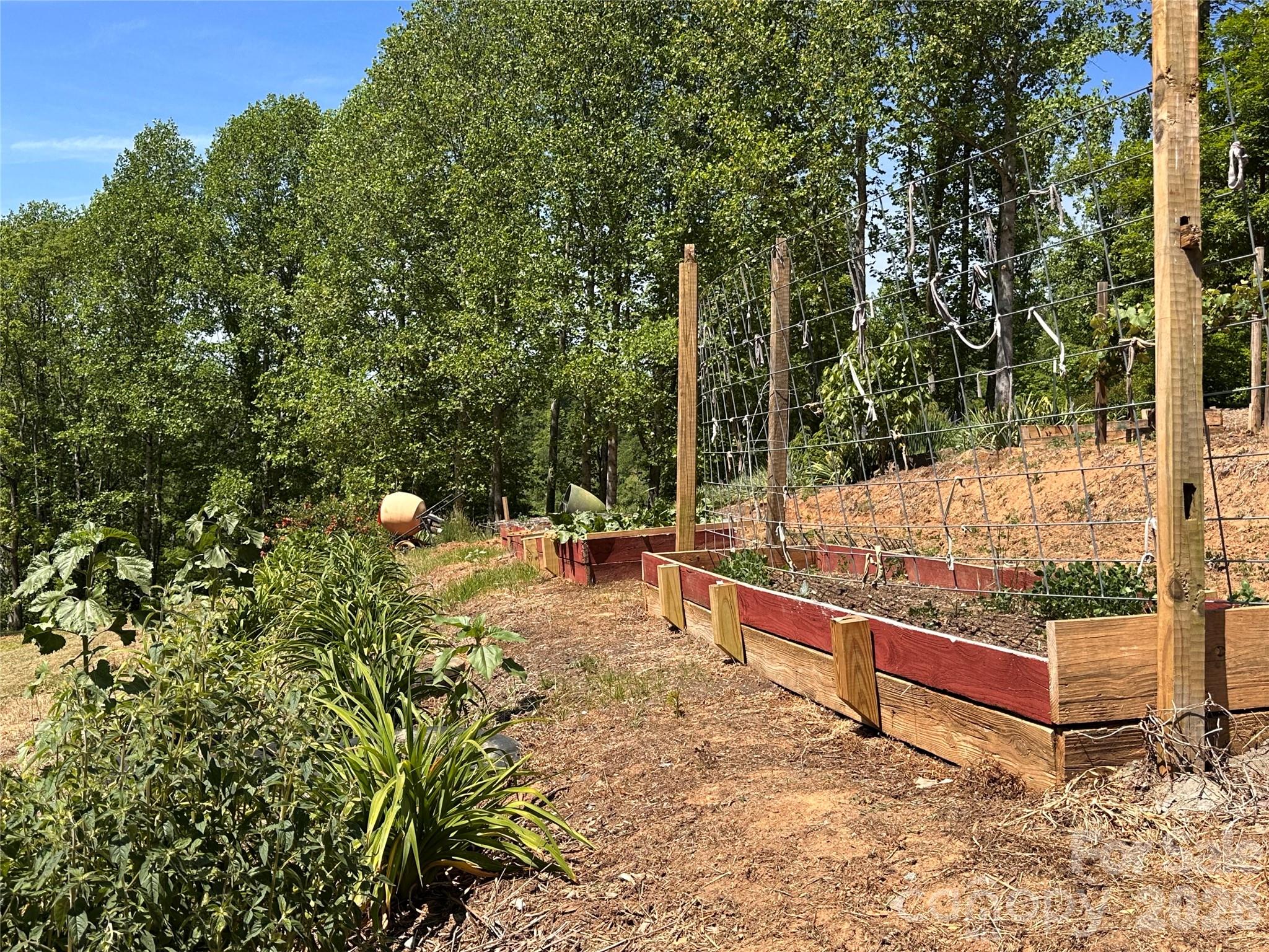 2825 Harrell Hill Road Property Photo 21