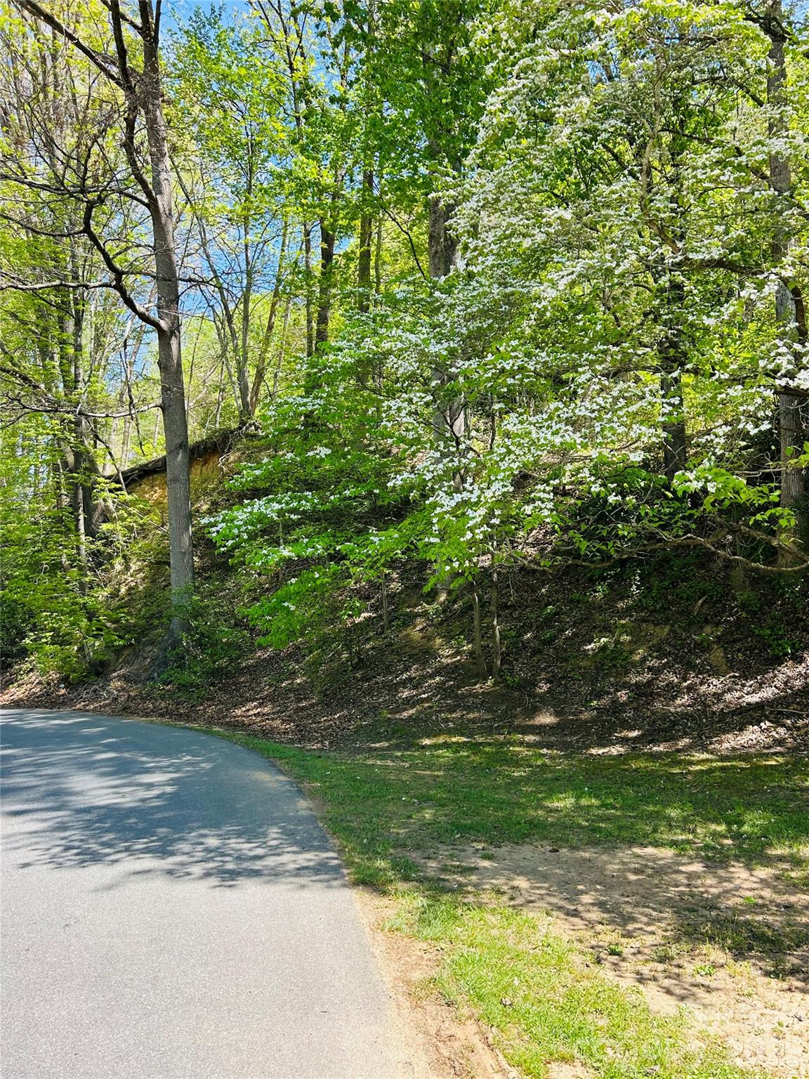 128 W Orchard Street Property Photo 3
