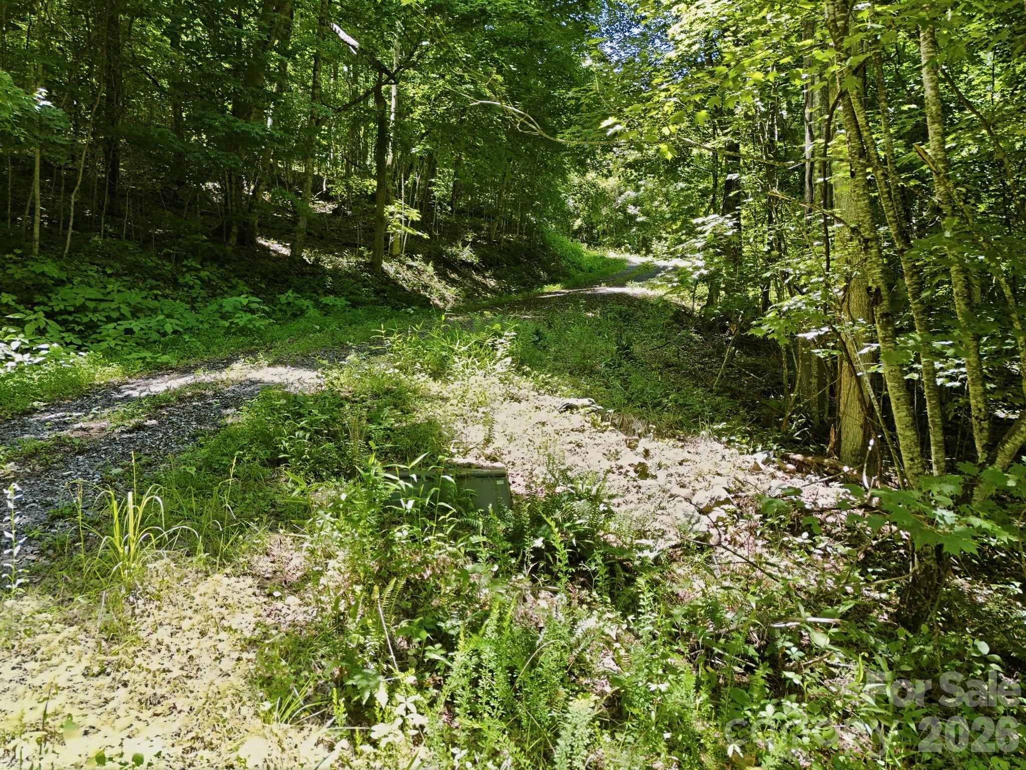 Tbd Windy Gap Road Tract B Property Photo 8