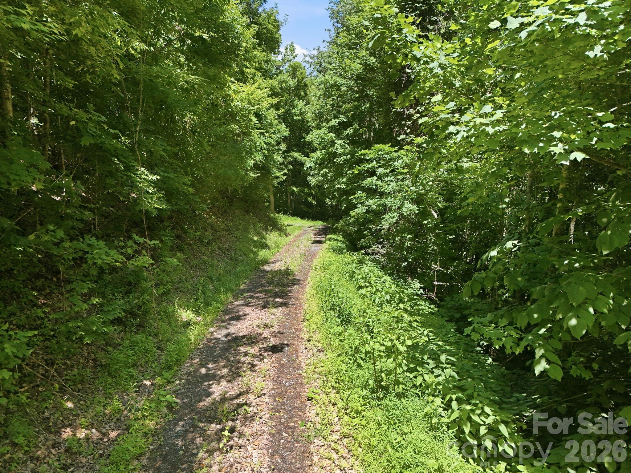 Tbd Windy Gap Road Tract B Property Photo 9