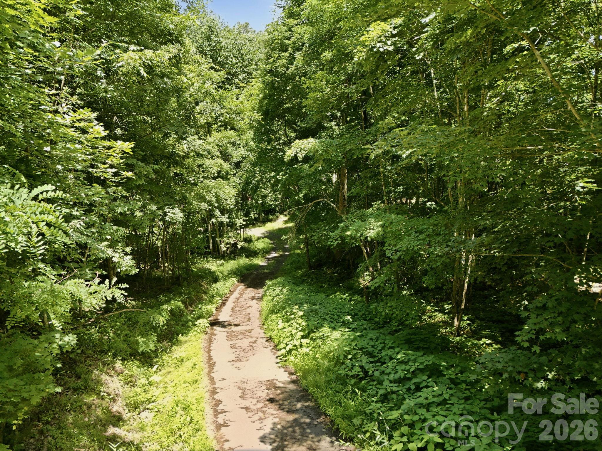 Tbd Windy Gap Road Tract B Property Photo 10