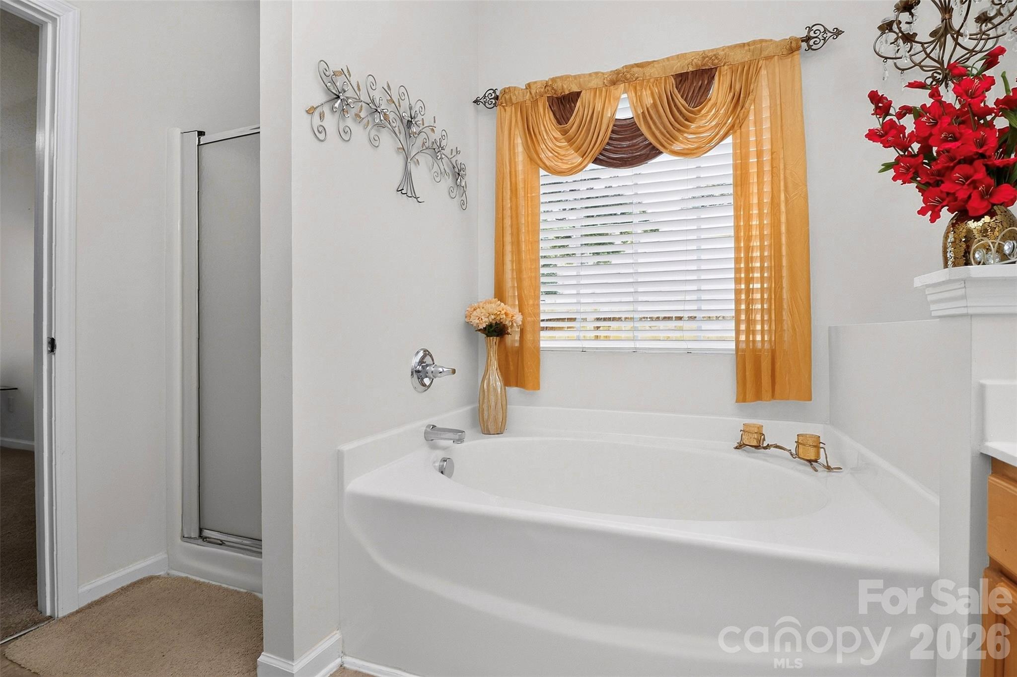 7613 Deluca Drive Property Photo 23