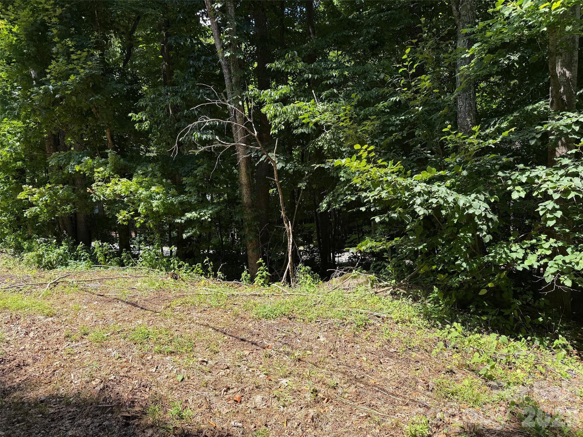 0 Serenity Mountain Road 108 Property Photo 4
