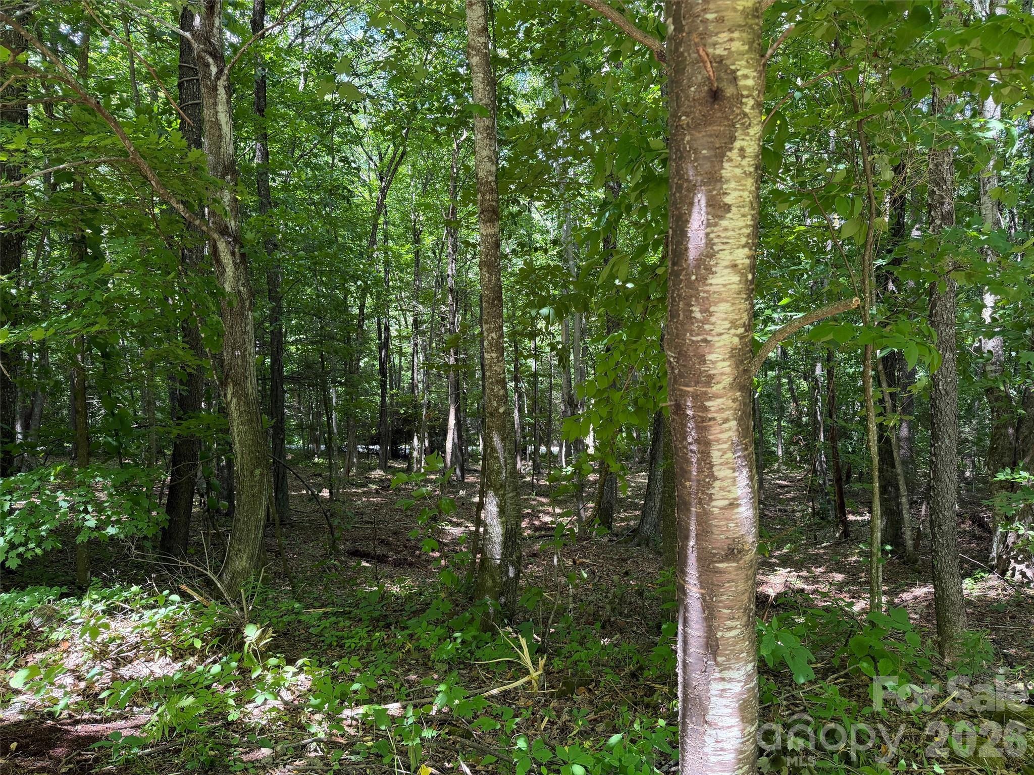 0 Serenity Mountain Road 108 Property Photo 8