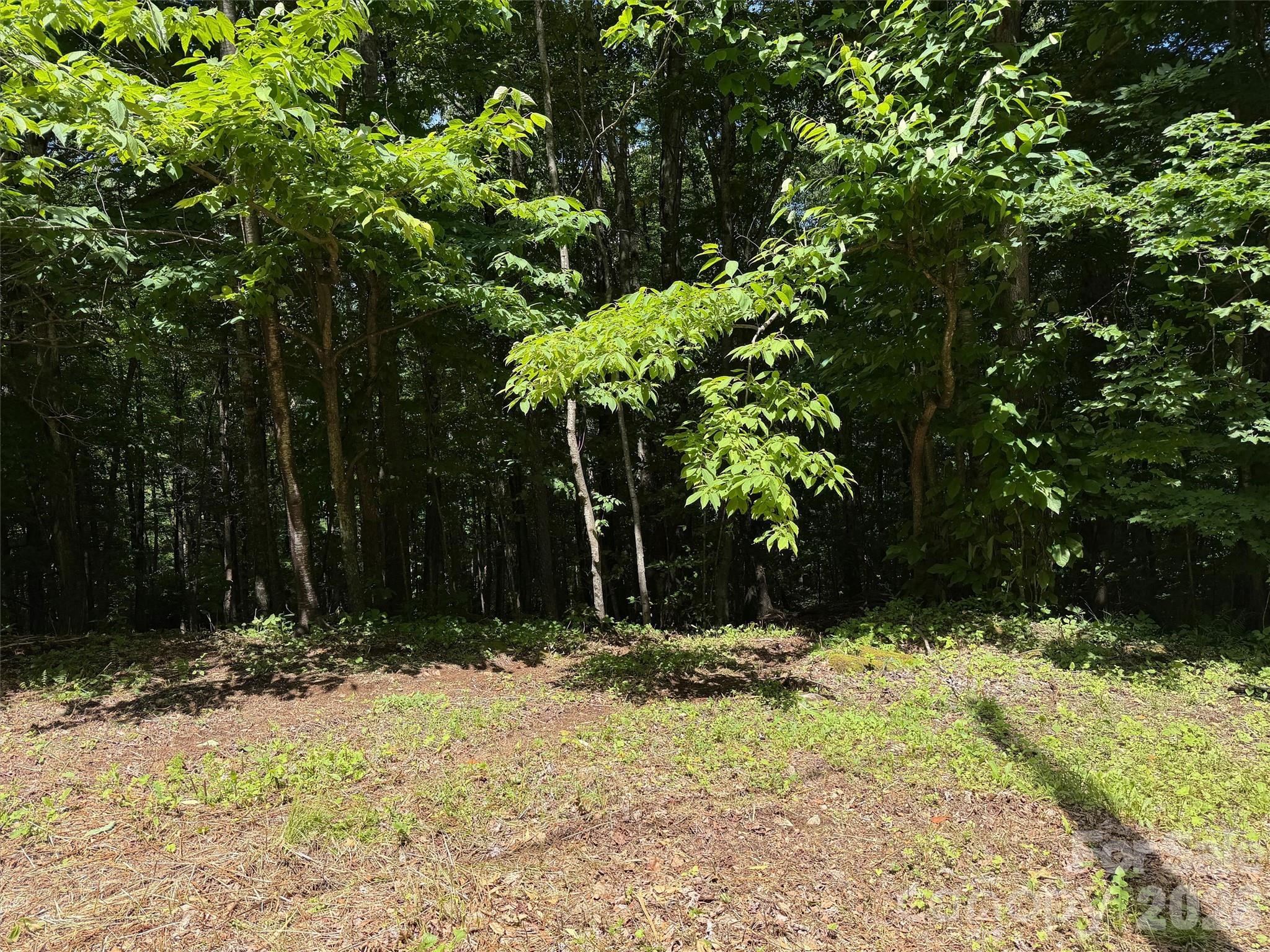 0 Serenity Mountain Road 108 Property Photo 9