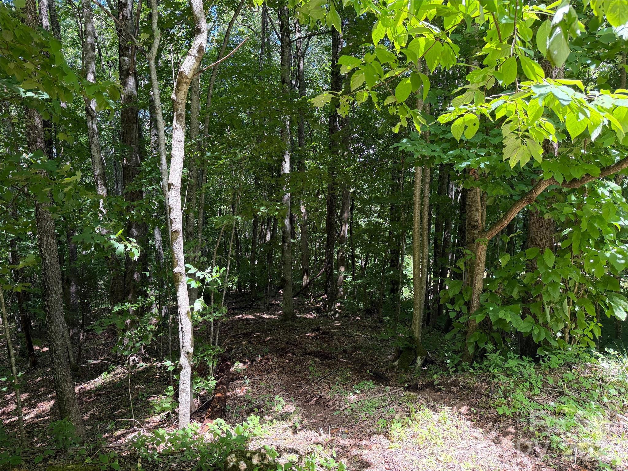 0 Serenity Mountain Road 108 Property Photo 10