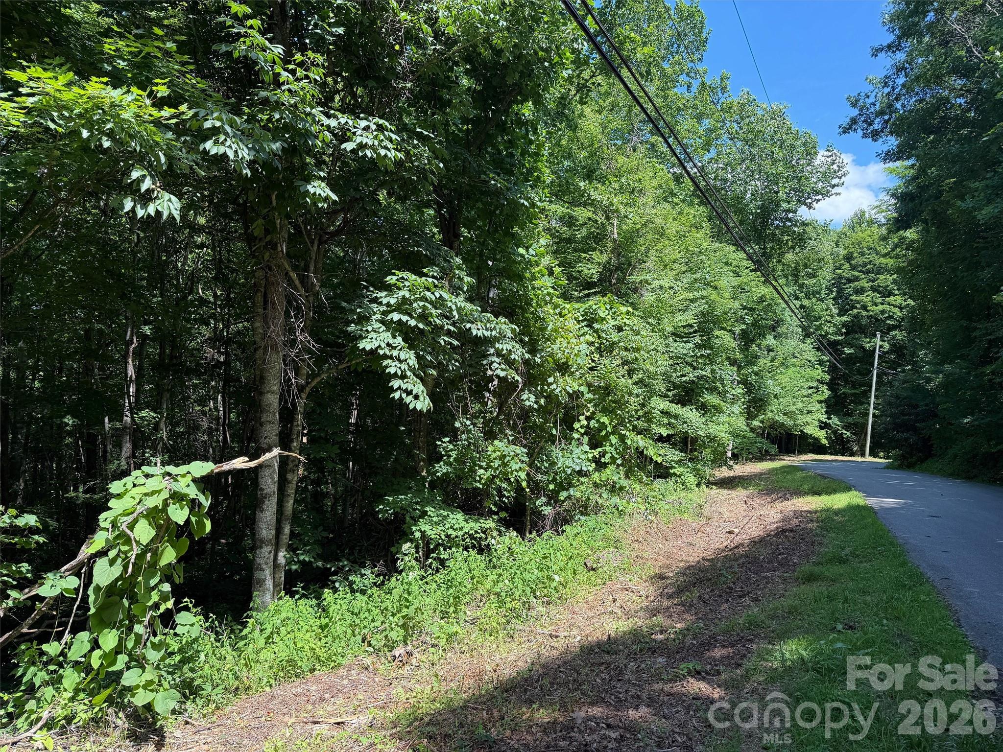 0 Serenity Mountain Road 108 Property Photo 14