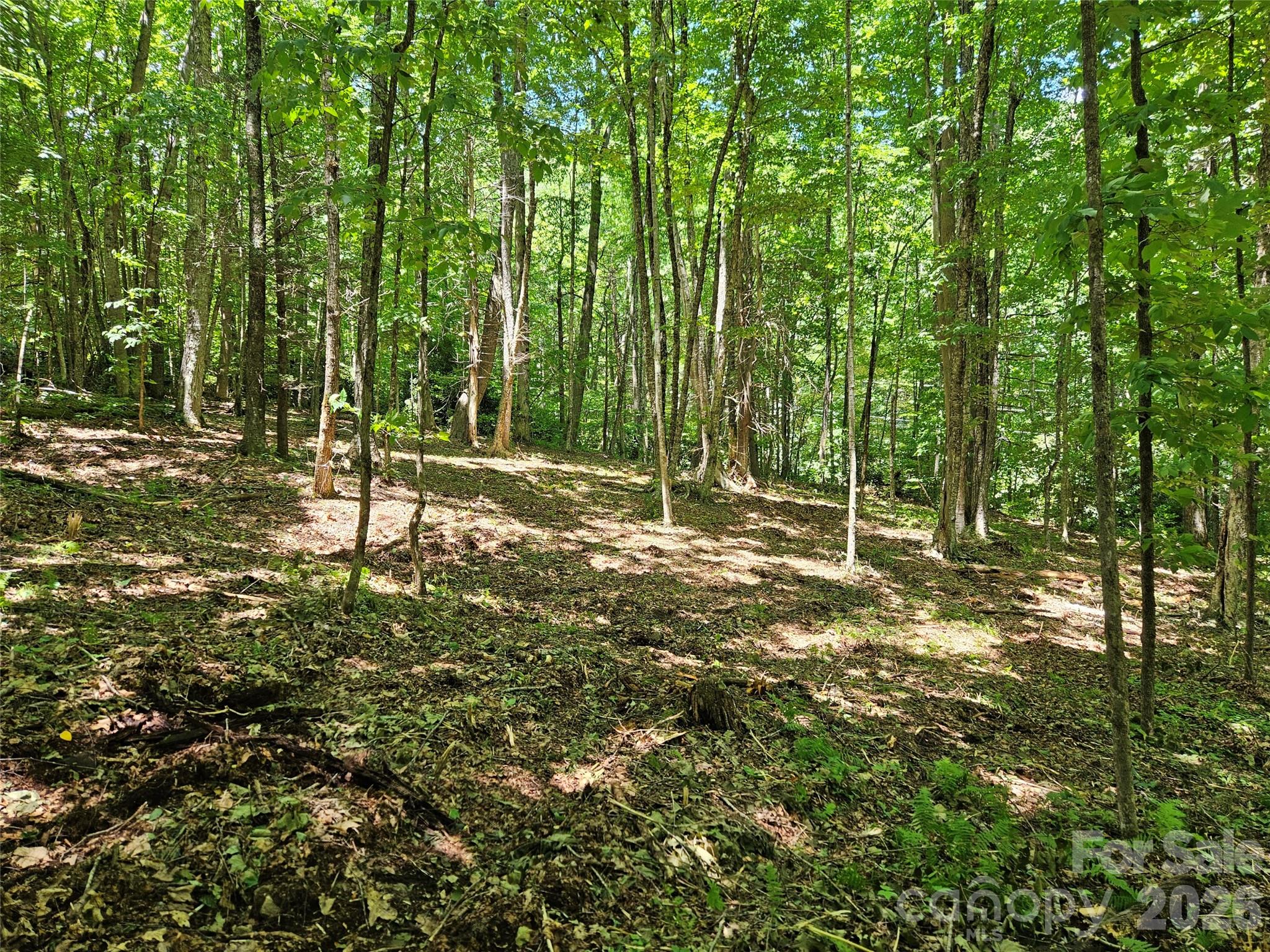 0 Serenity Mountain Road 108 Property Photo 18