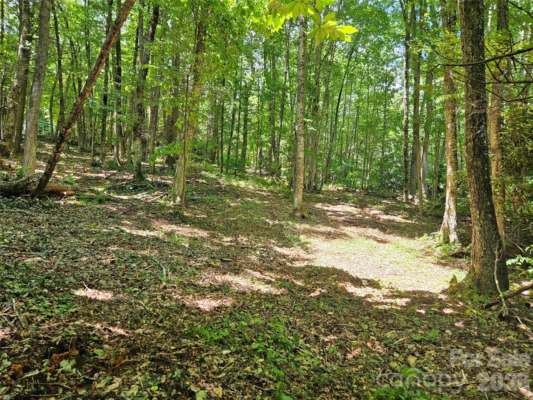 0 Serenity Mountain Road 108 Property Photo 21