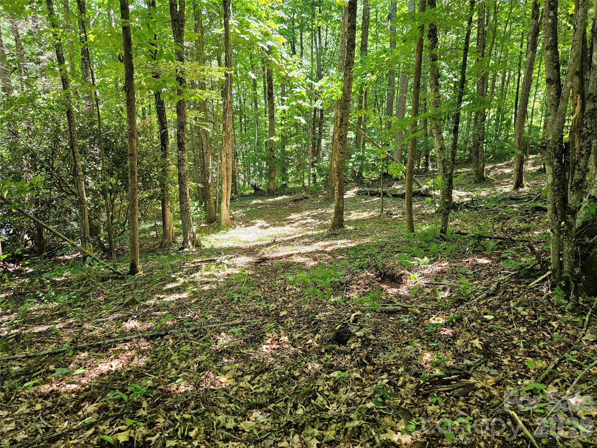 0 Serenity Mountain Road 108 Property Photo 22