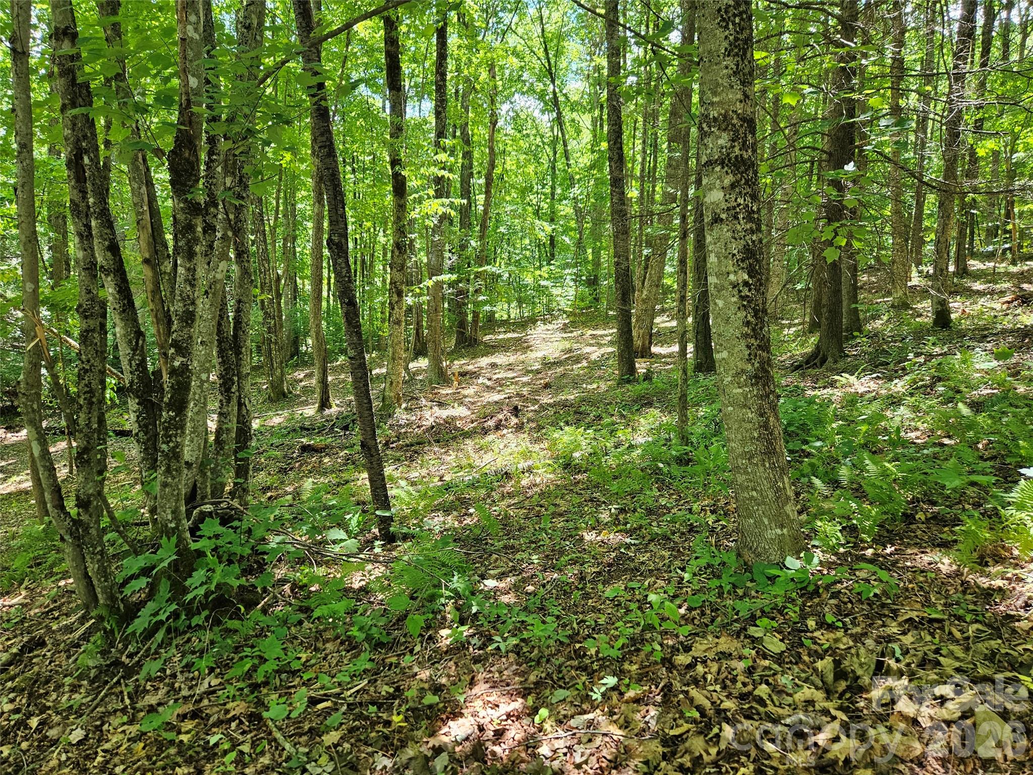 0 Serenity Mountain Road 108 Property Photo 23