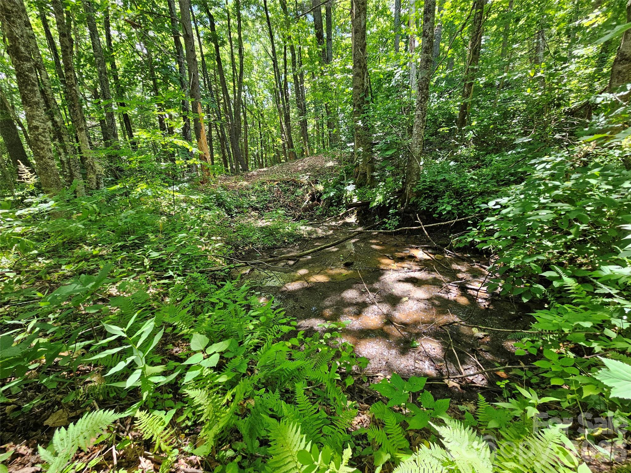 0 Serenity Mountain Road 108 Property Photo 27