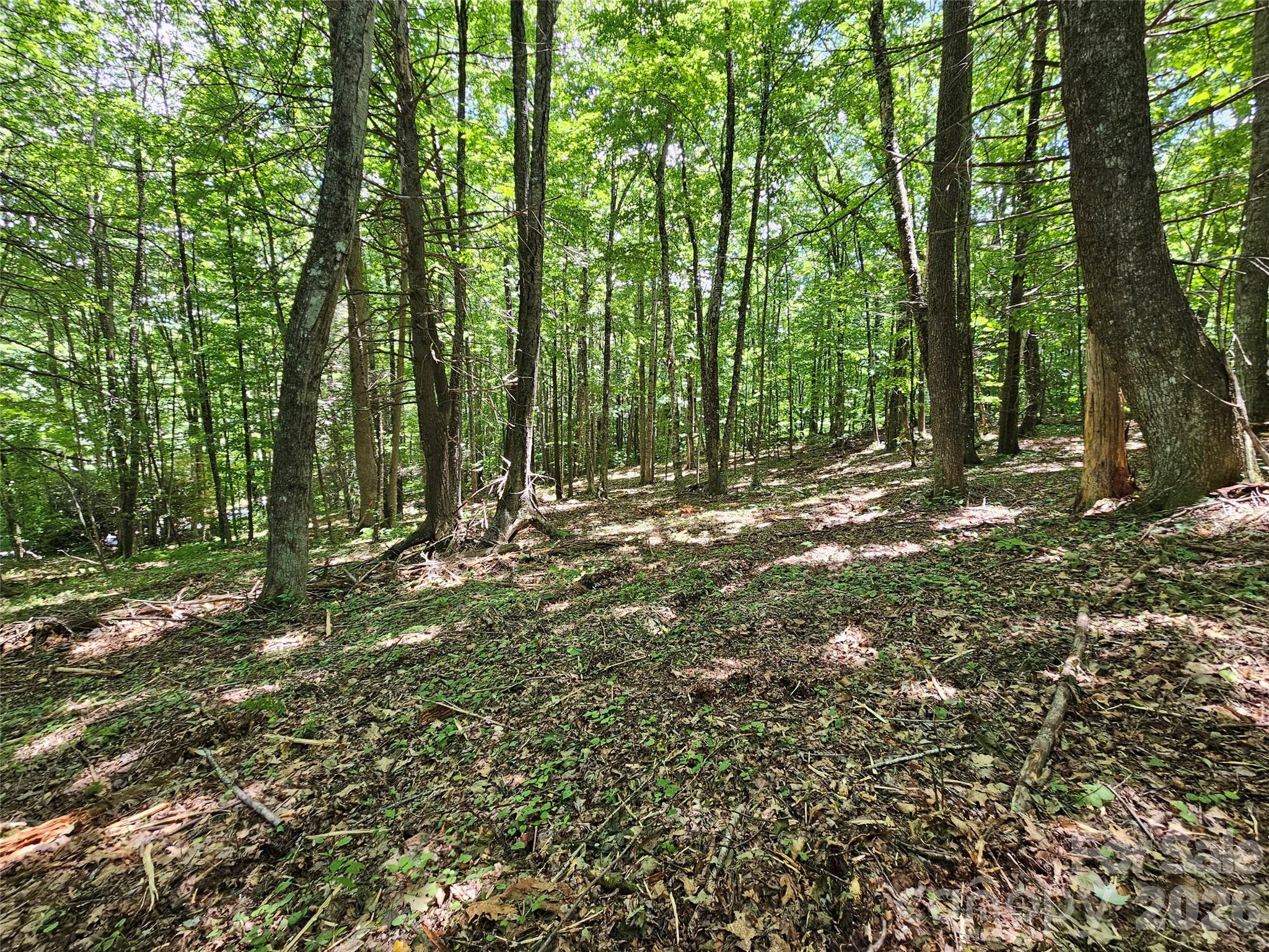 0 Serenity Mountain Road 108 Property Photo 28