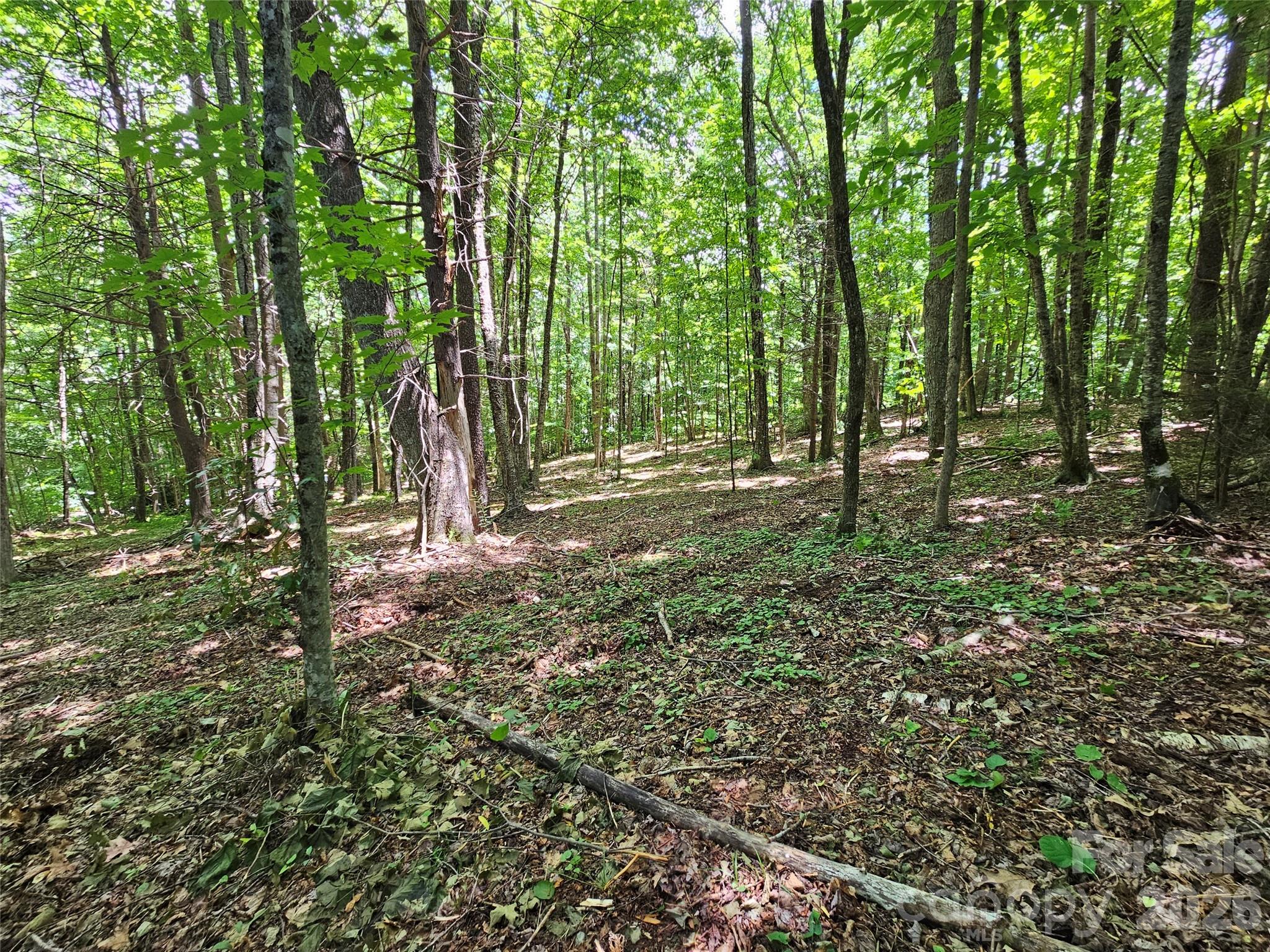 0 Serenity Mountain Road 108 Property Photo 29