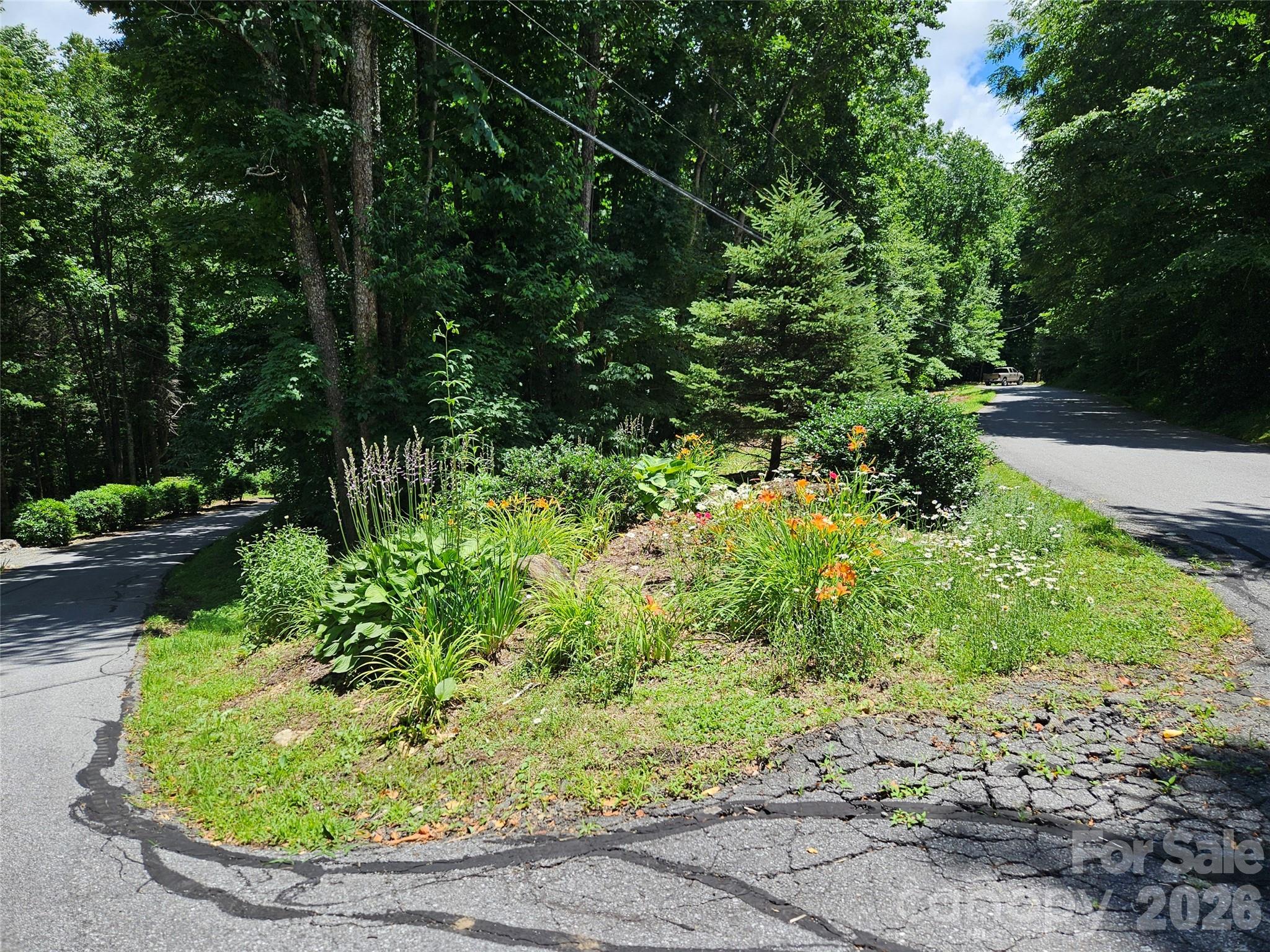 0 Serenity Mountain Road 108 Property Photo 30