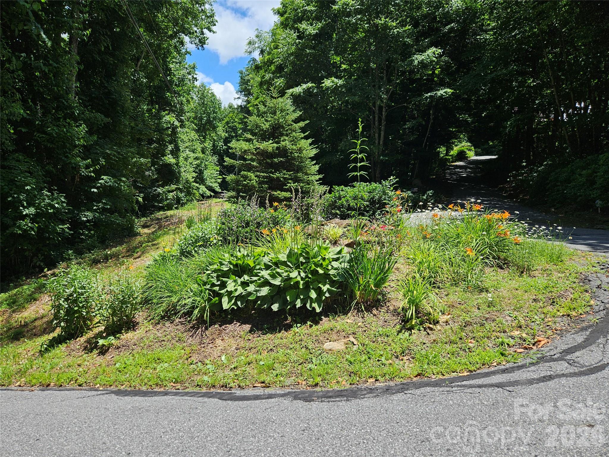 0 Serenity Mountain Road 108 Property Photo 31