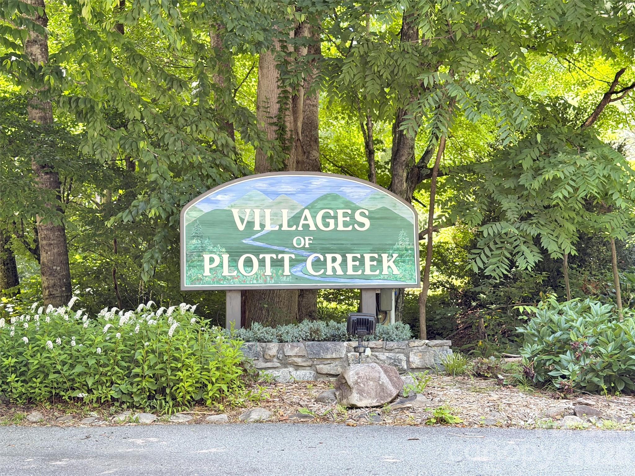 0 Serenity Mountain Road 108 Property Photo 34