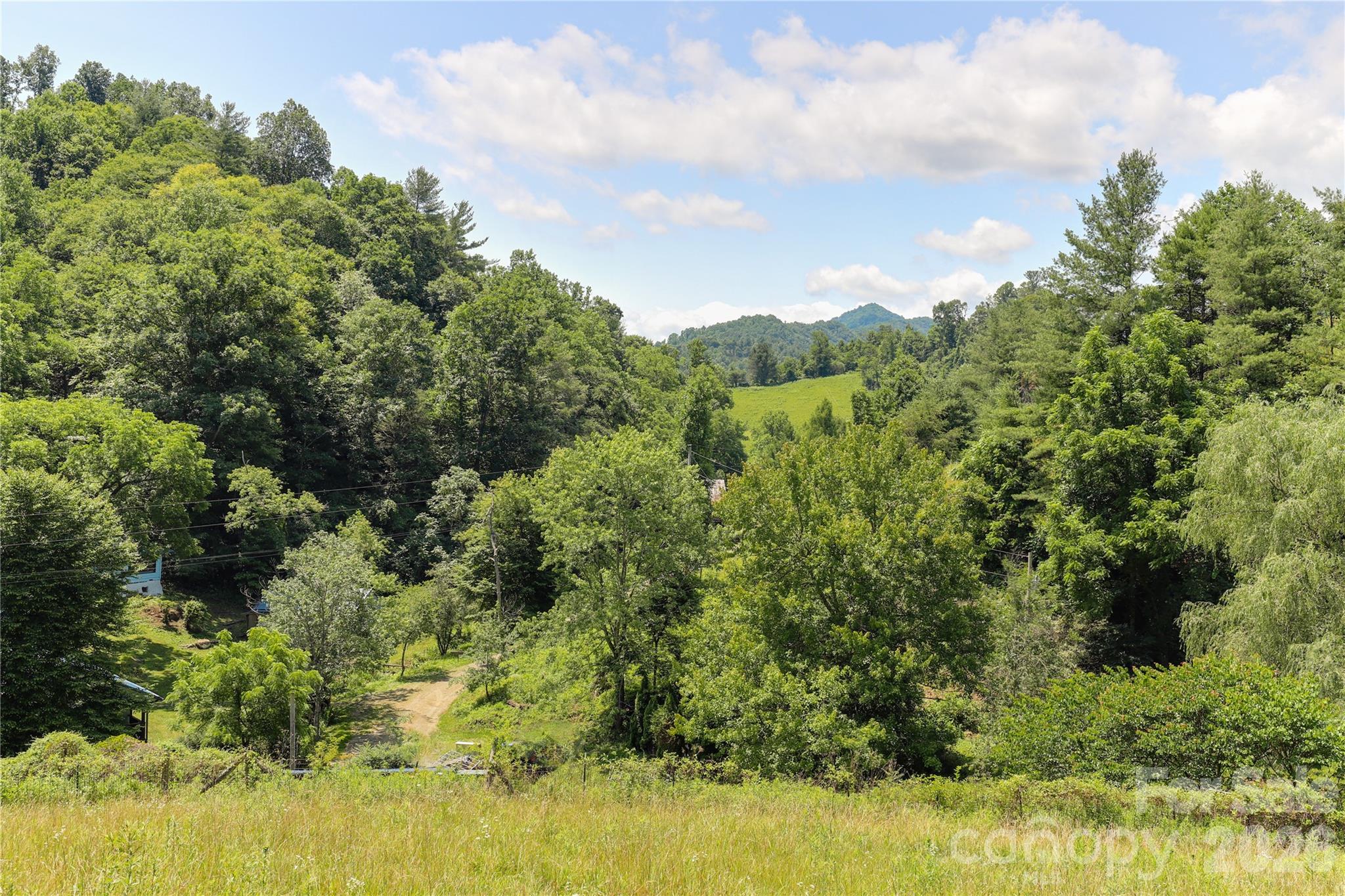 435 Mountain Cove Road Property Photo 7
