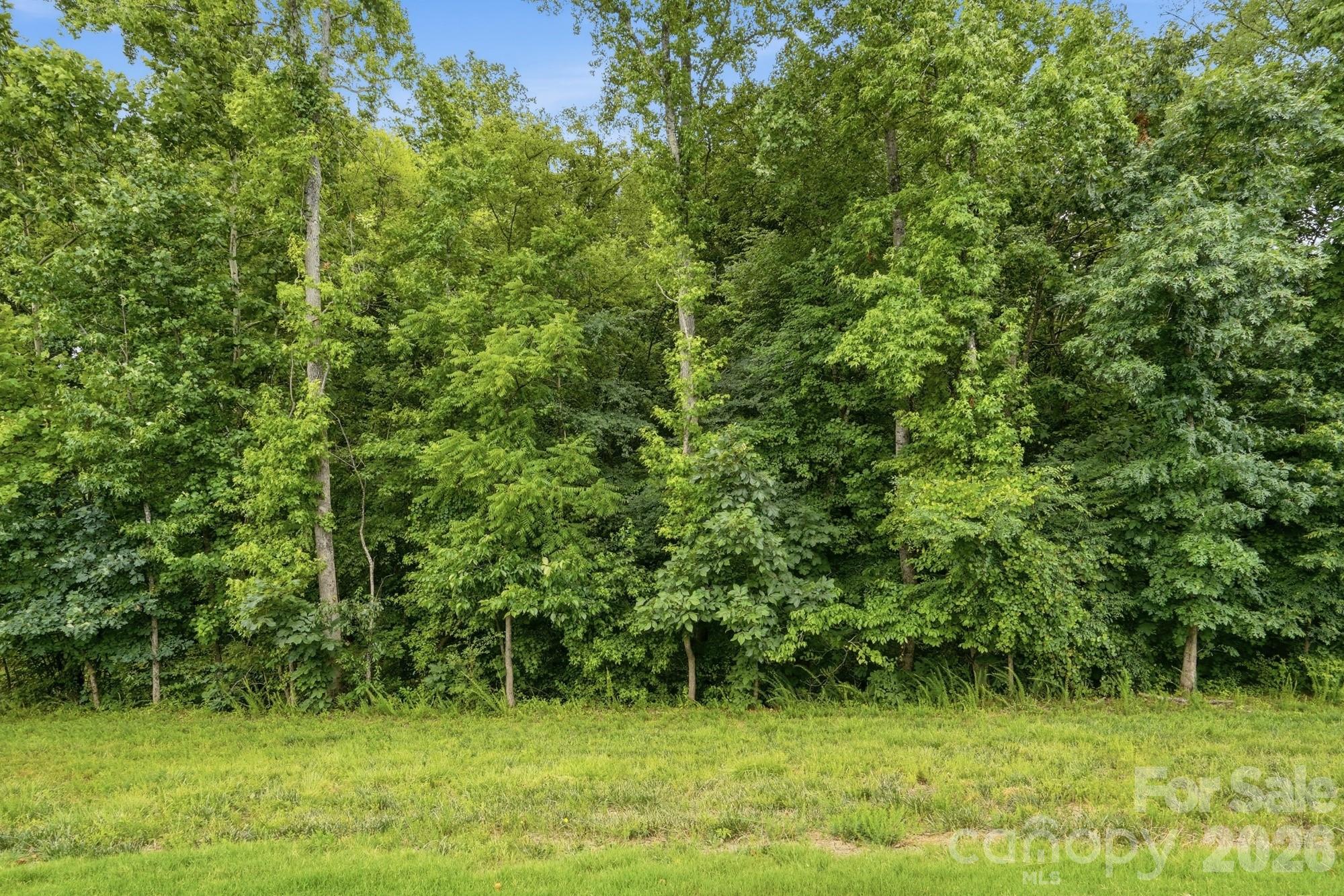 3049 Alveston Drive Property Photo 30