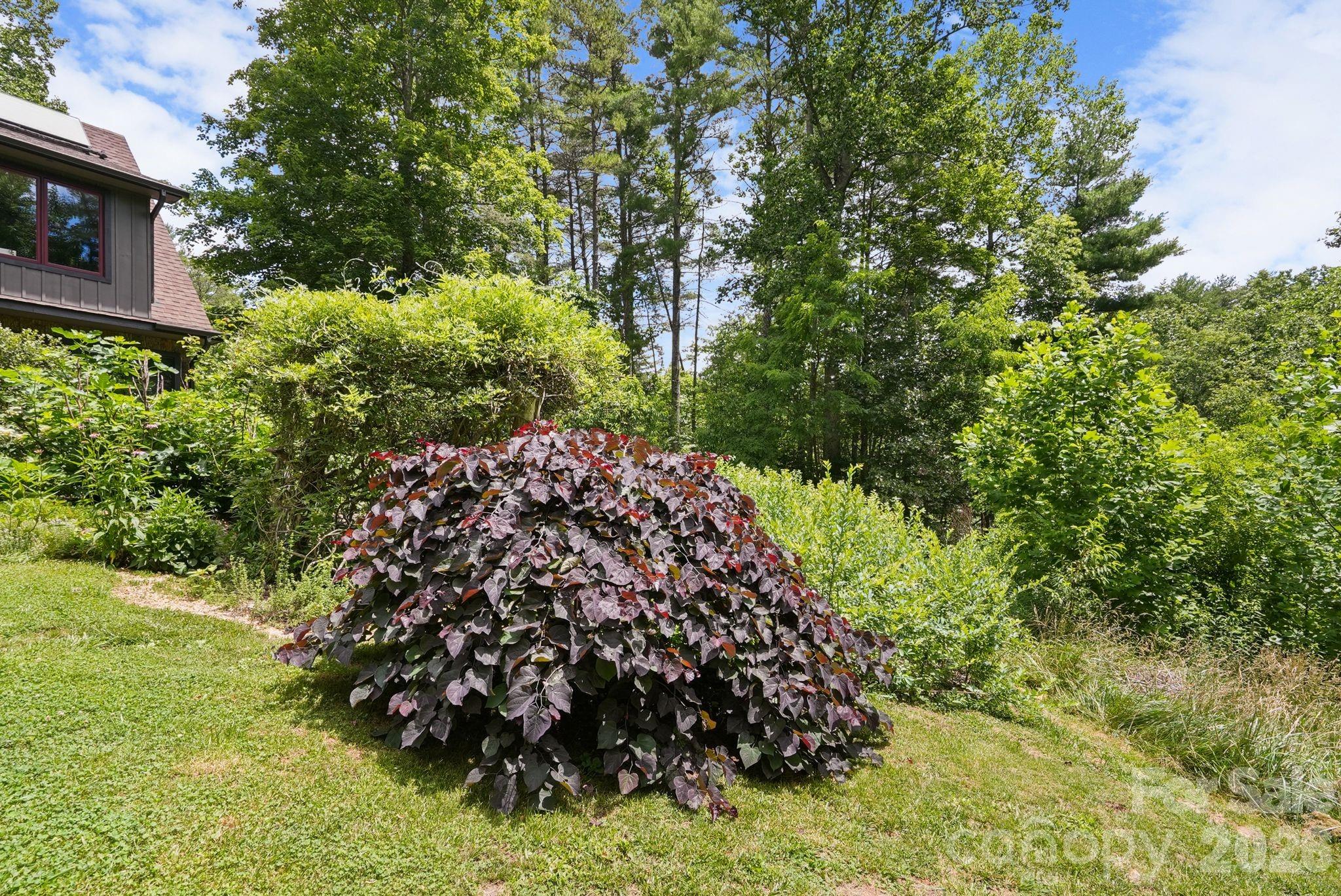 24 Merriwood Trail Property Photo 41