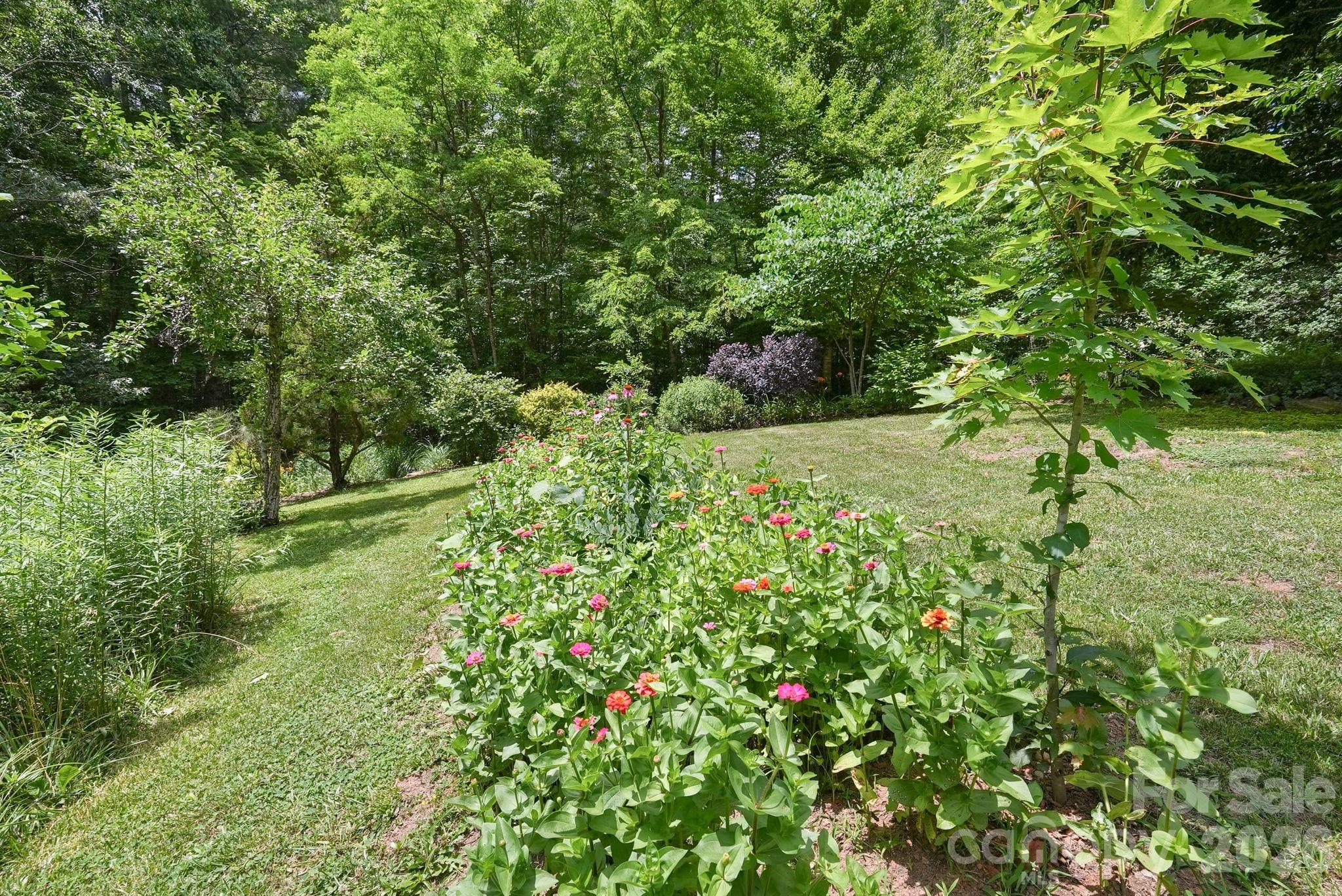 24 Merriwood Trail Property Photo 42