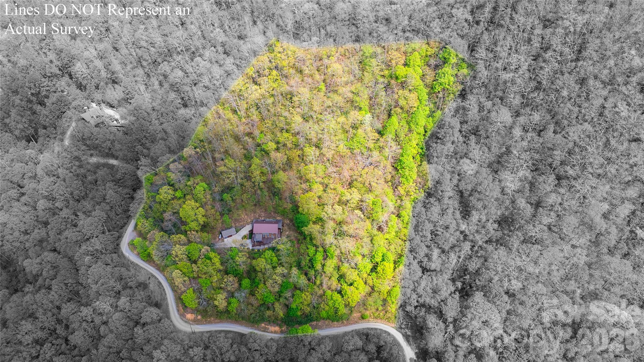 1602 Forest Run Road Property Photo 7