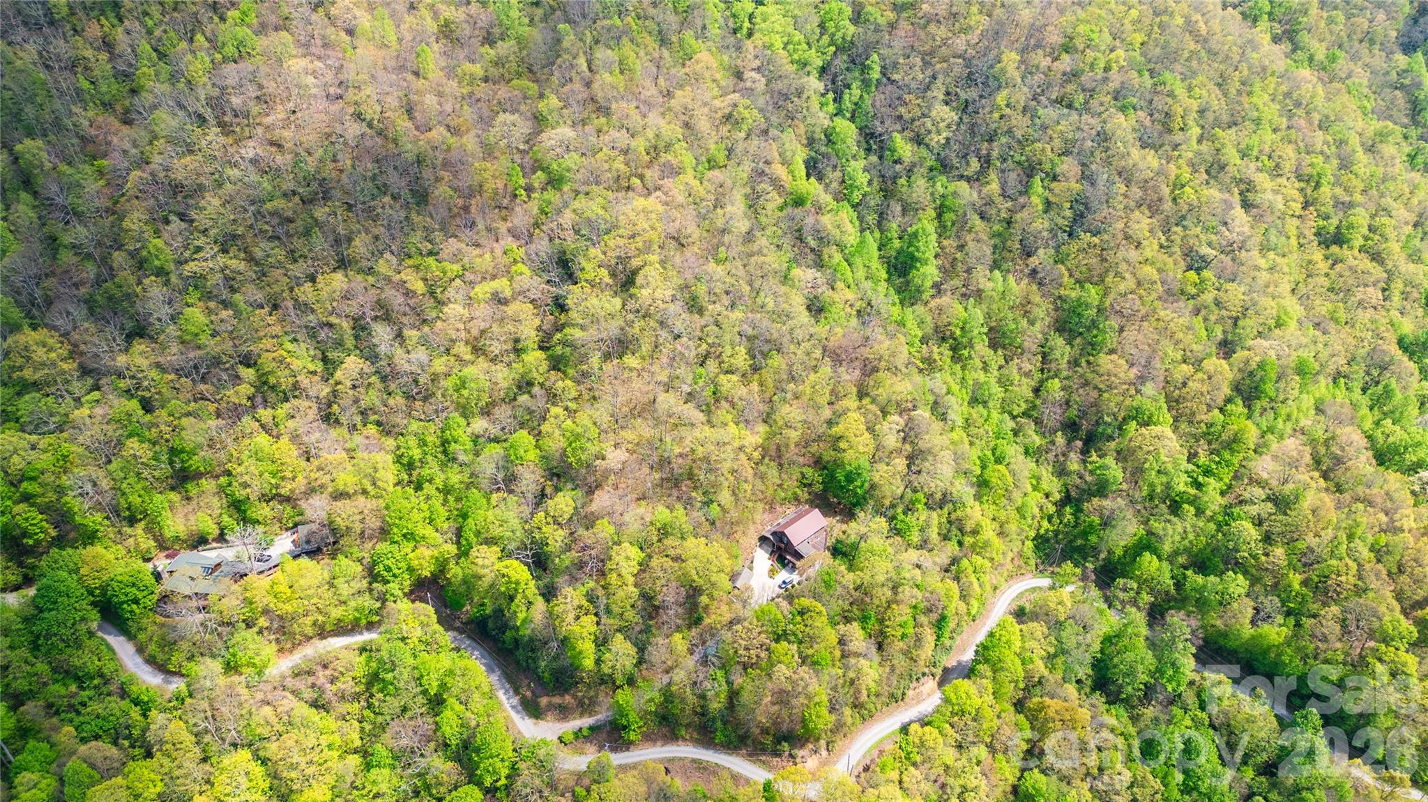1602 Forest Run Road Property Photo 8