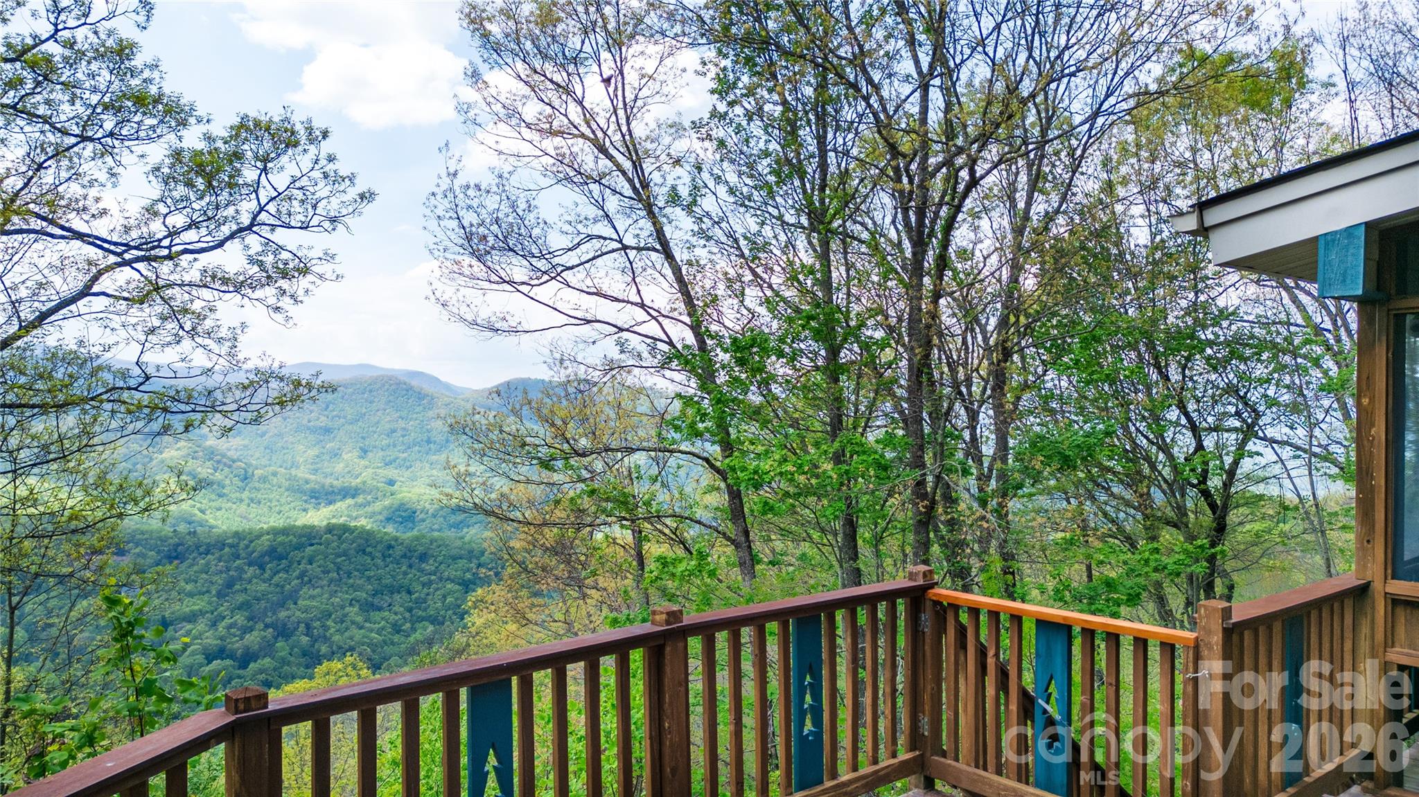 1602 Forest Run Road Property Photo 9