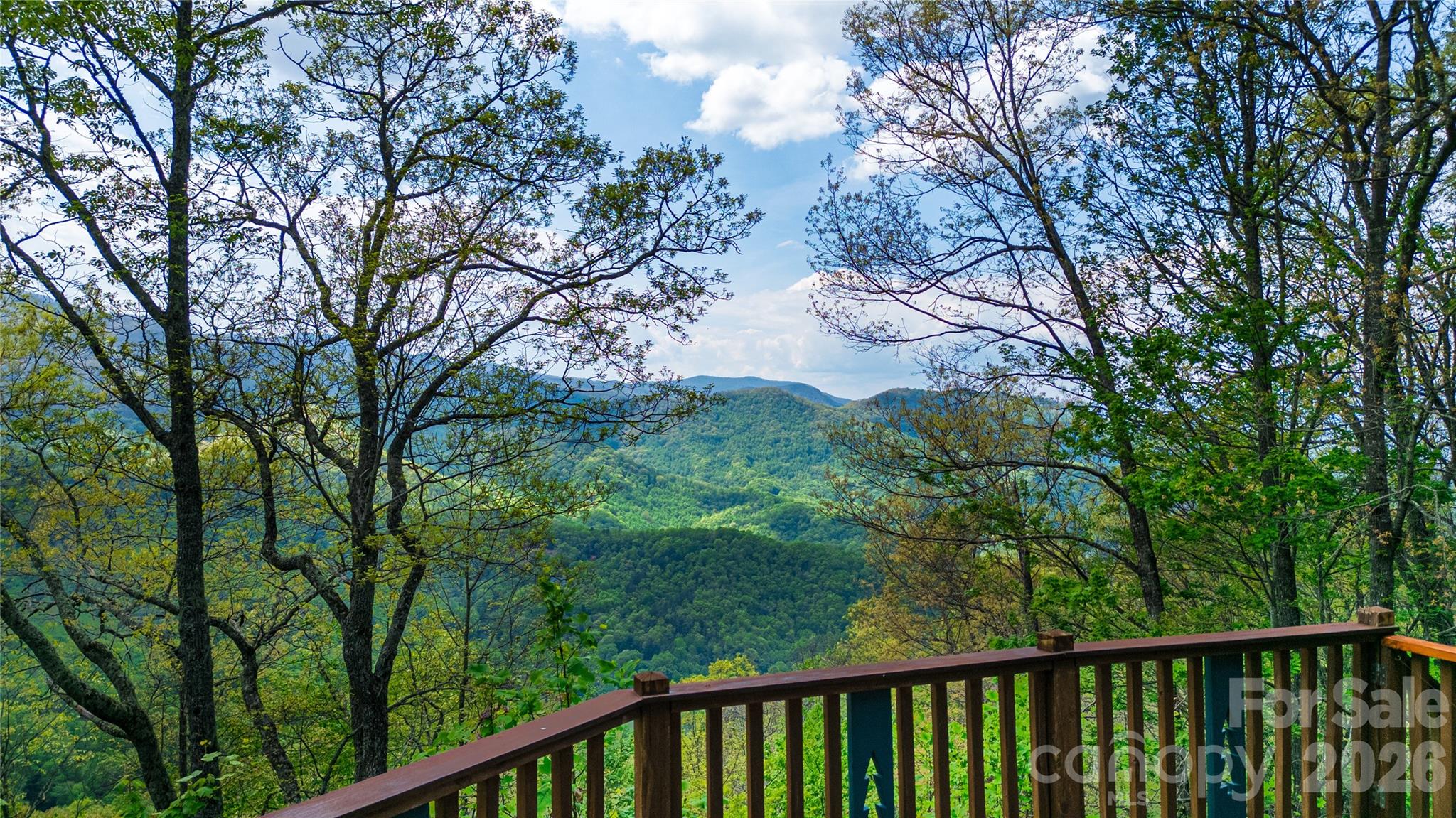 1602 Forest Run Road Property Photo 10
