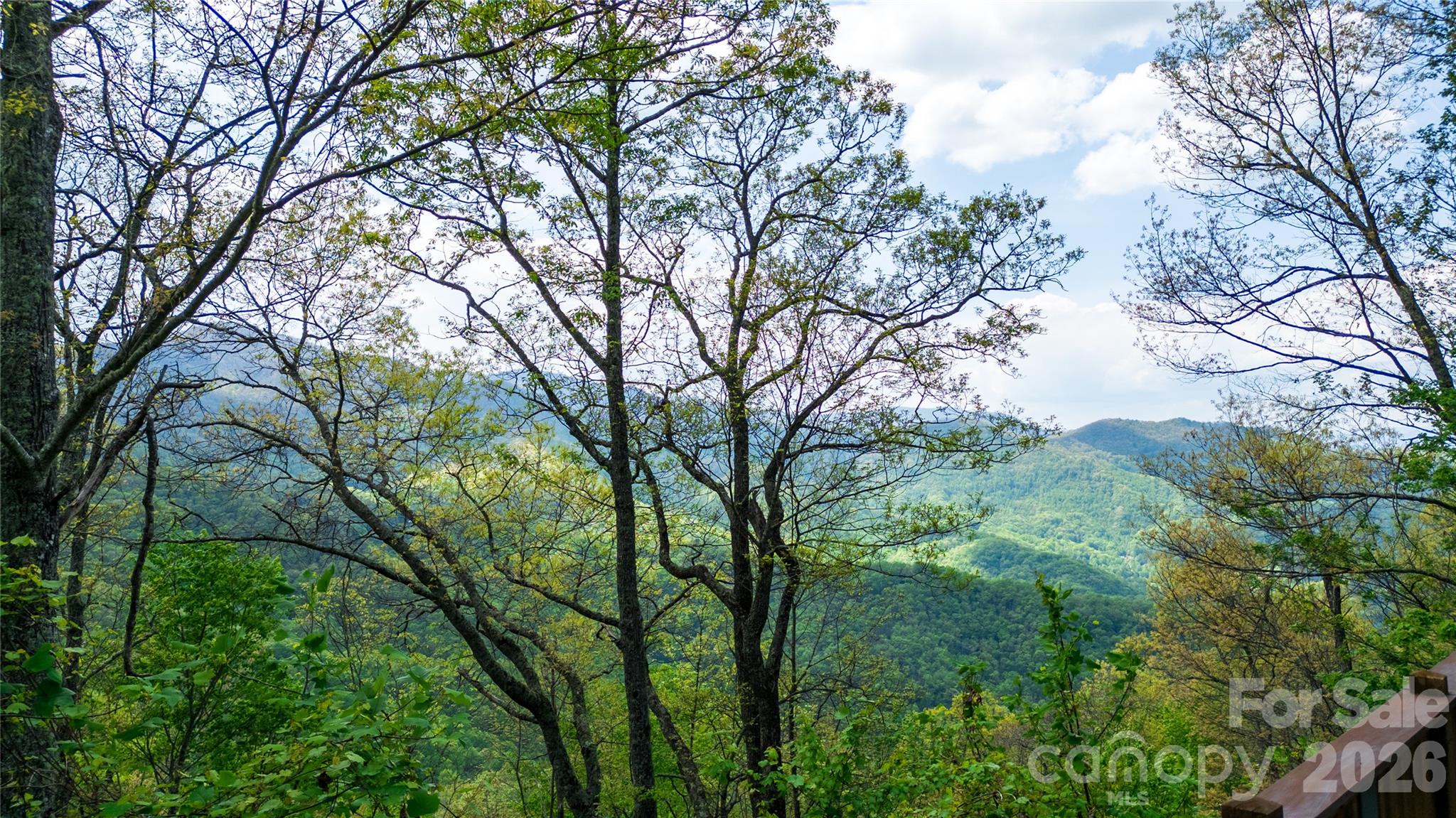 1602 Forest Run Road Property Photo 11