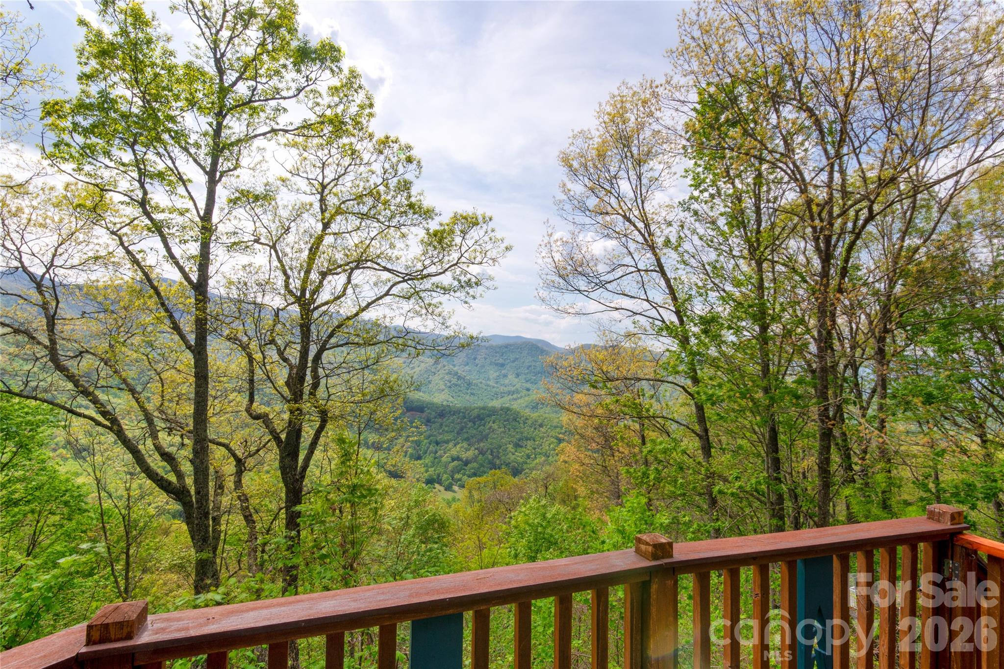 1602 Forest Run Road Property Photo 32