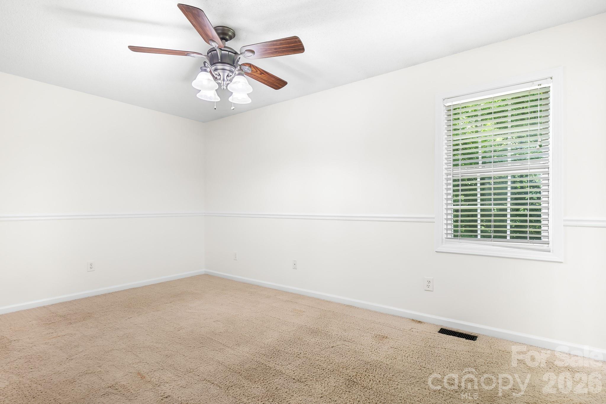 218 Vernon Street Property Photo 15