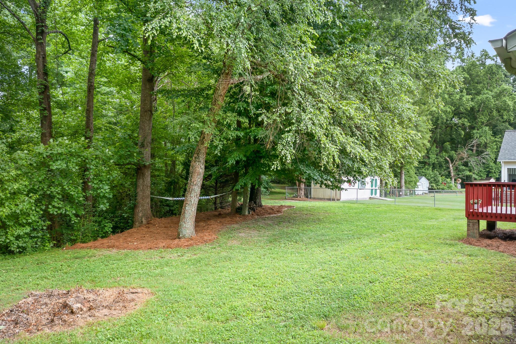 218 Vernon Street Property Photo 22