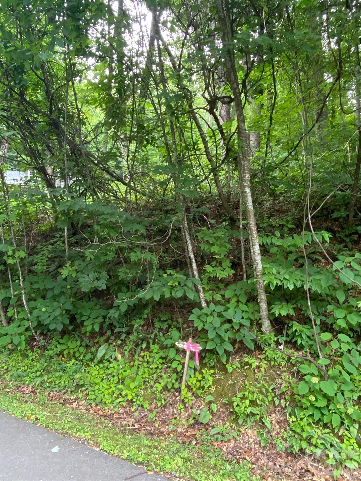 00 Aaron Way 21 Property Photo 2