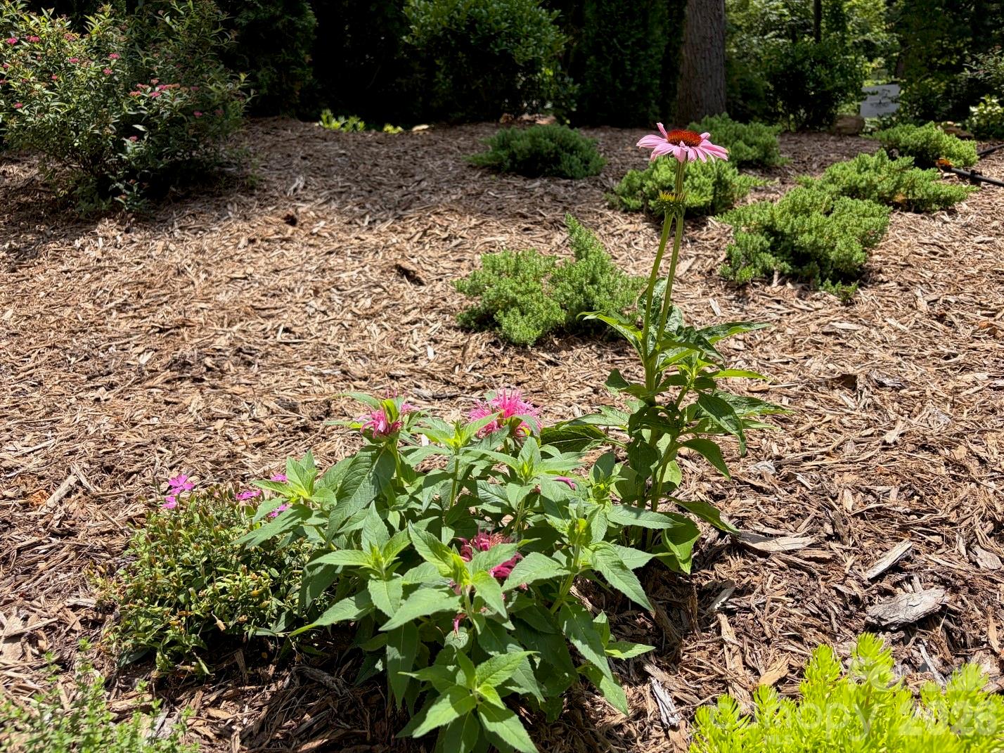 78 Tupper Road Property Photo 40