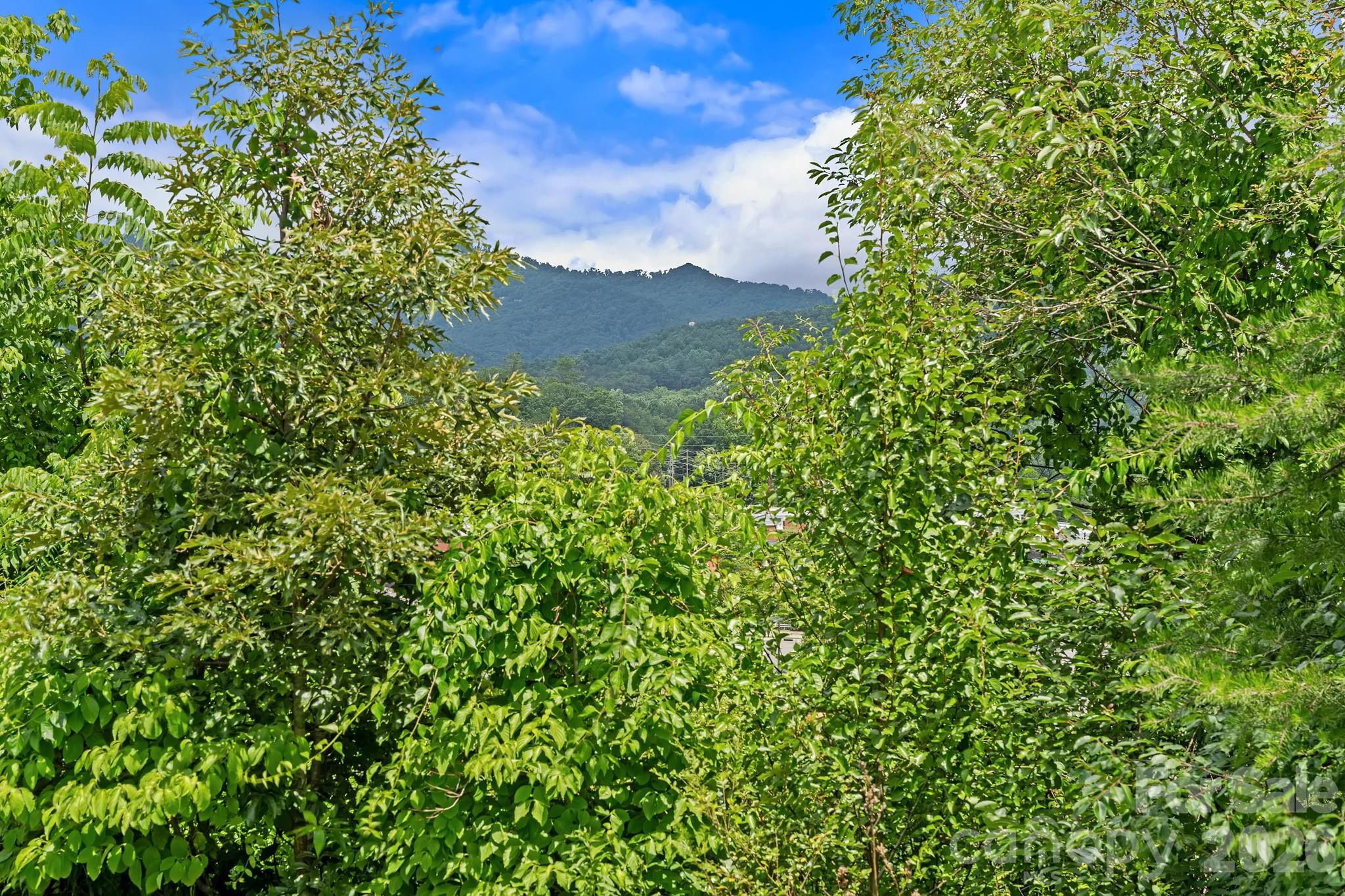 10 Benedict Lane Property Photo 14